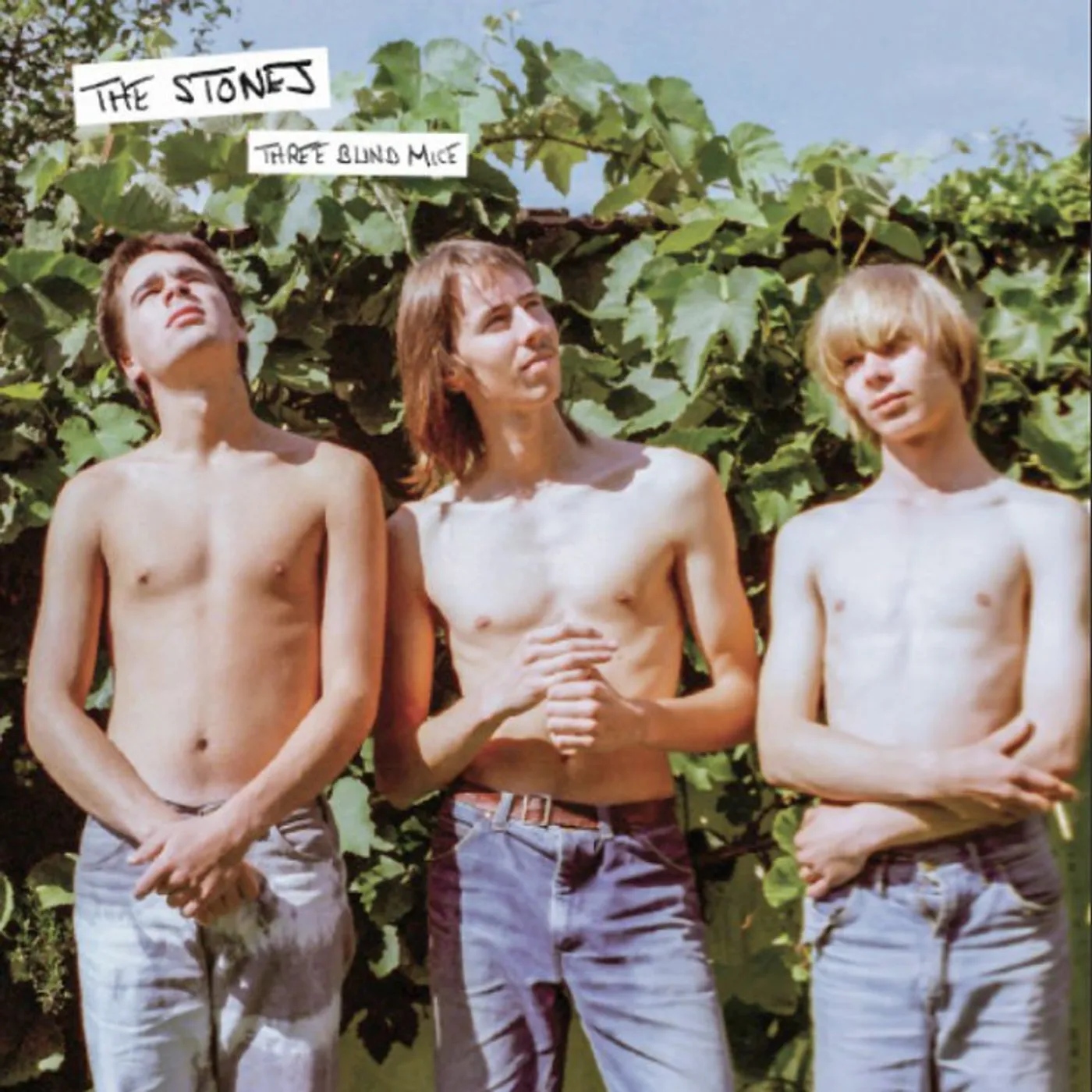 The Stones Three Blind Mice Vinyl Record