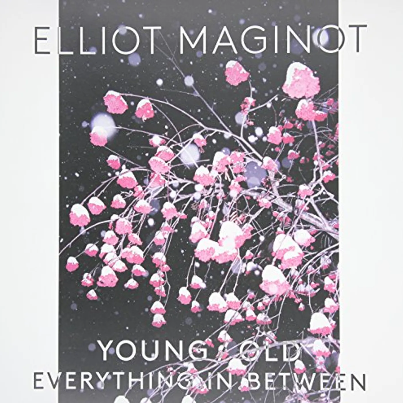 Elliot Maginot YOUNG. OLD. EVERYTHING. IN. BETWEEN Vinyl Record