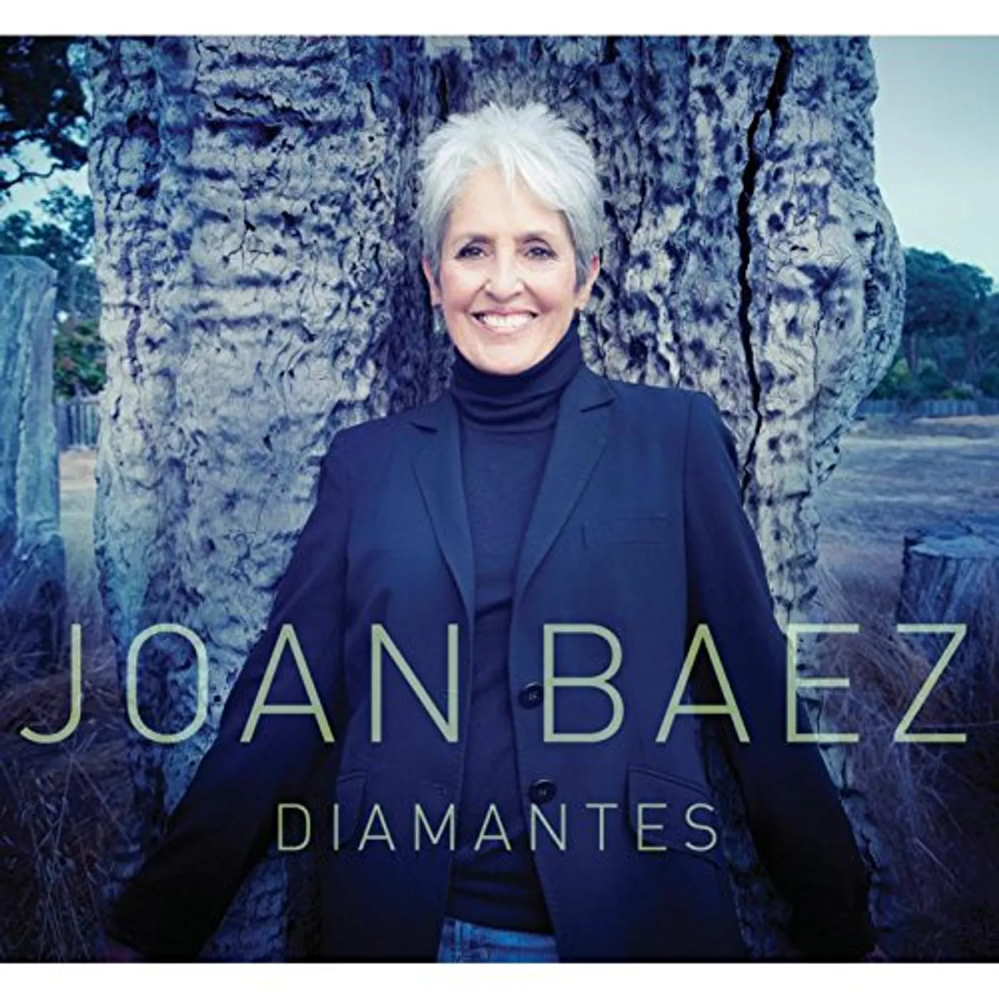 Joan Baez DIAMANTES CD