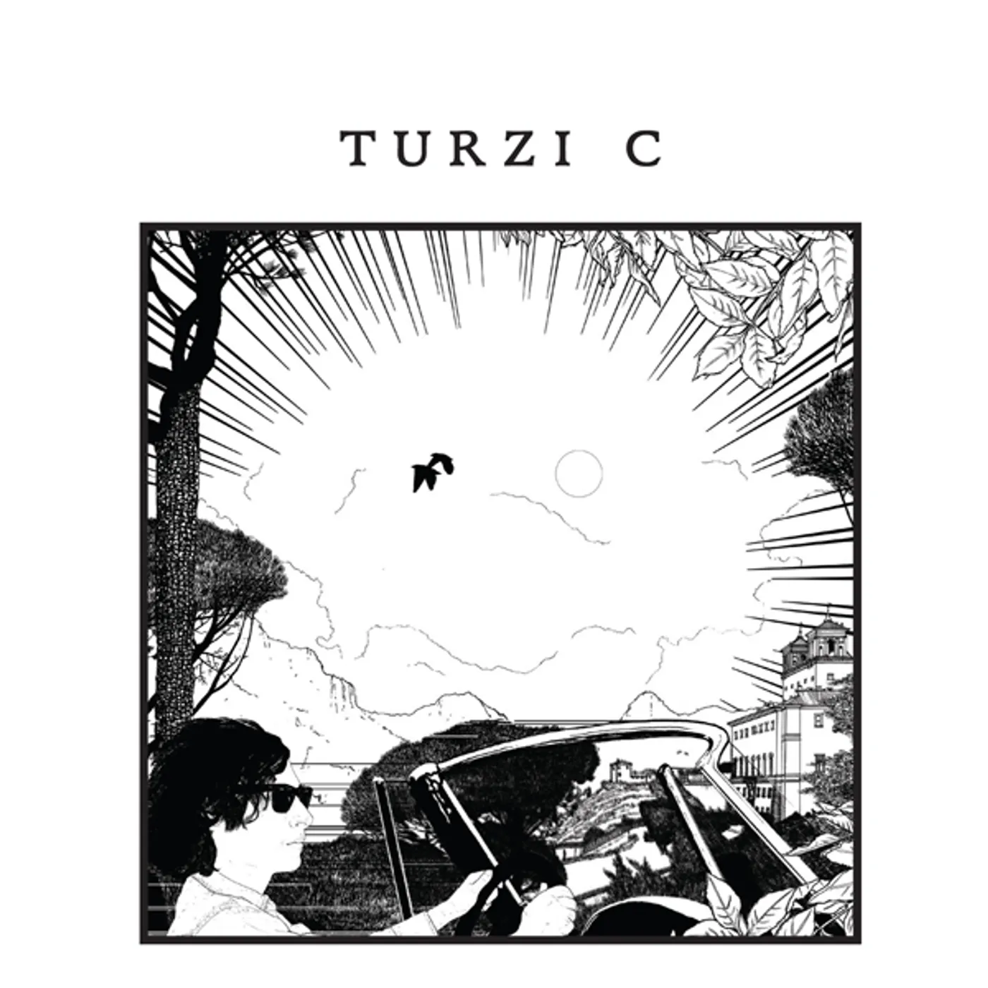 Turzi C Vinyl Record
