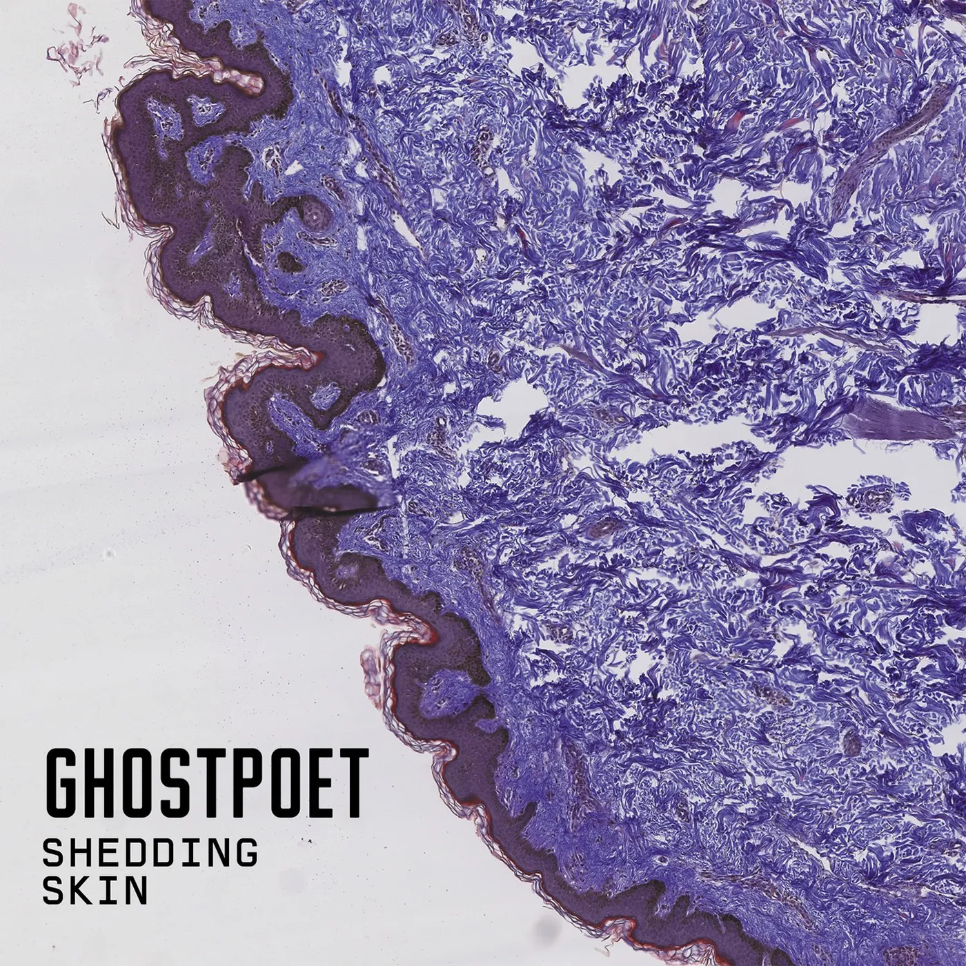 Ghostpoet Shedding Skin Vinyl Record
