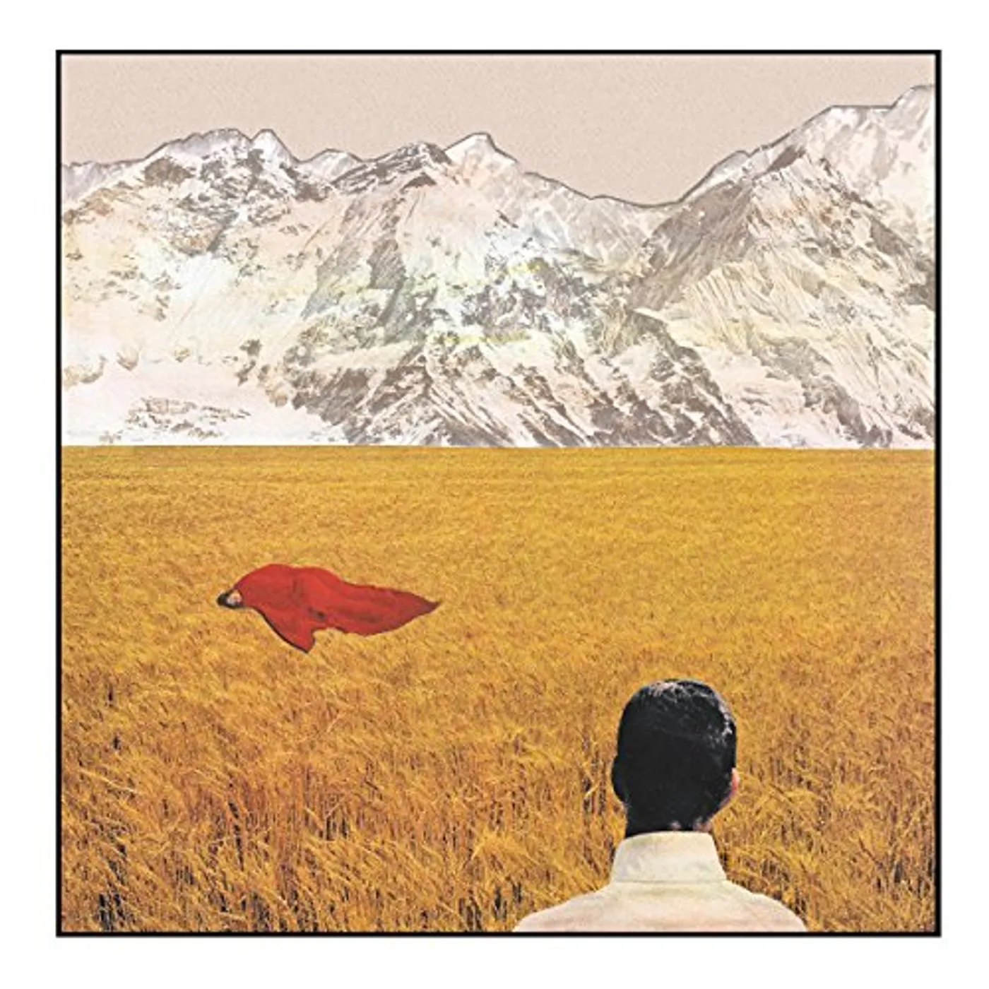 Lady Lamb The Beekeeper After Vinyl Record