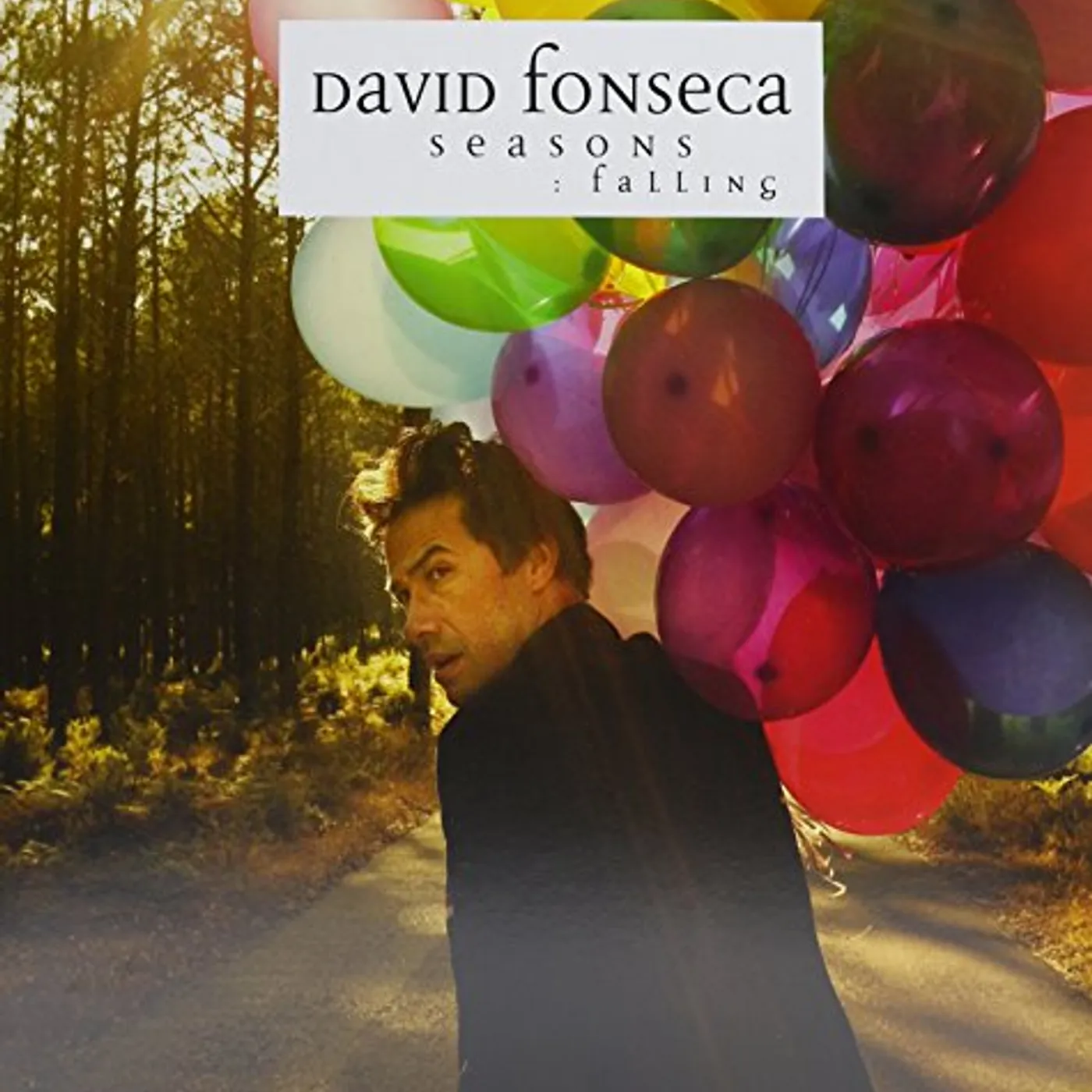 David Fonseca SEASONS: FALLING Vinyl Record