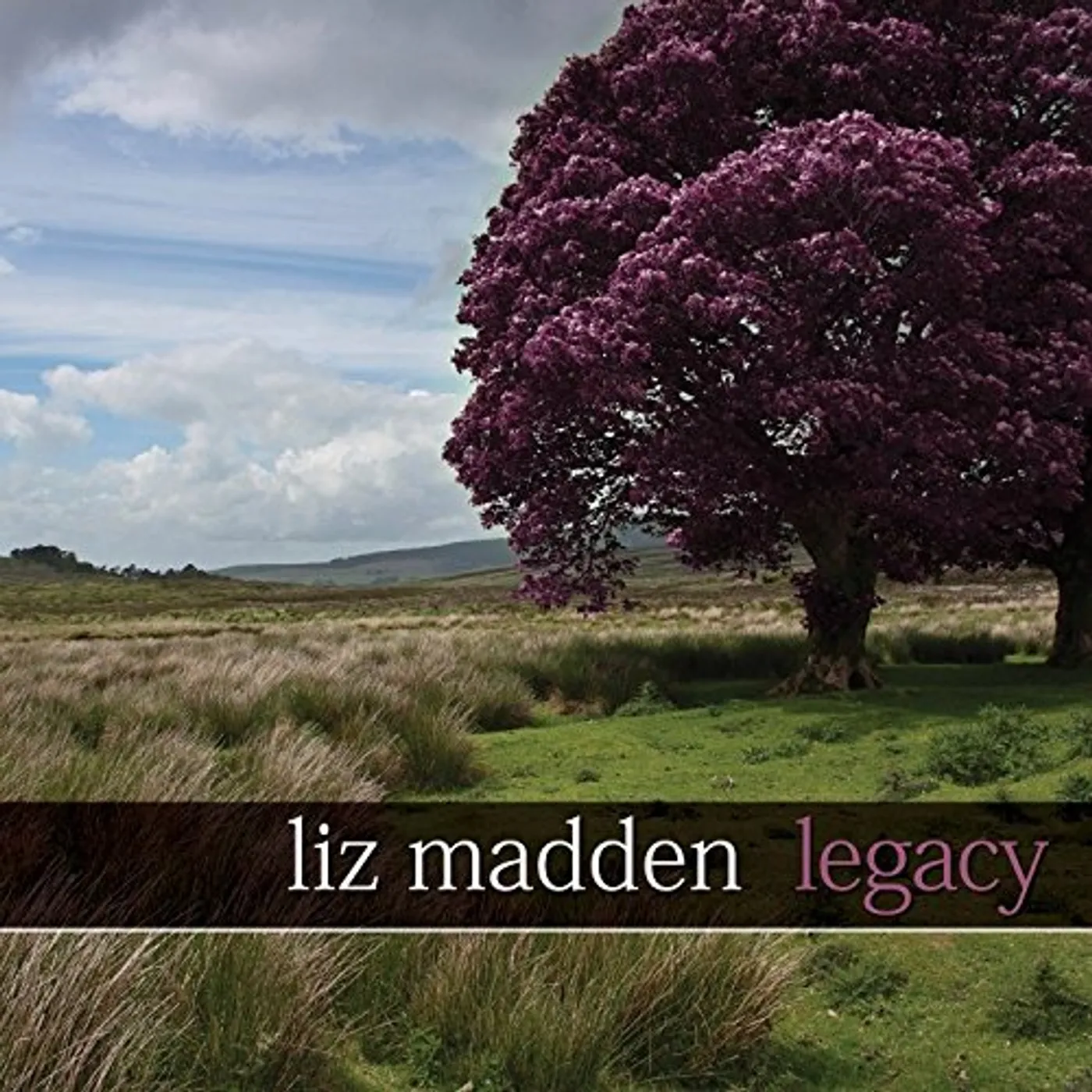 Liz Madden LEGACY CD