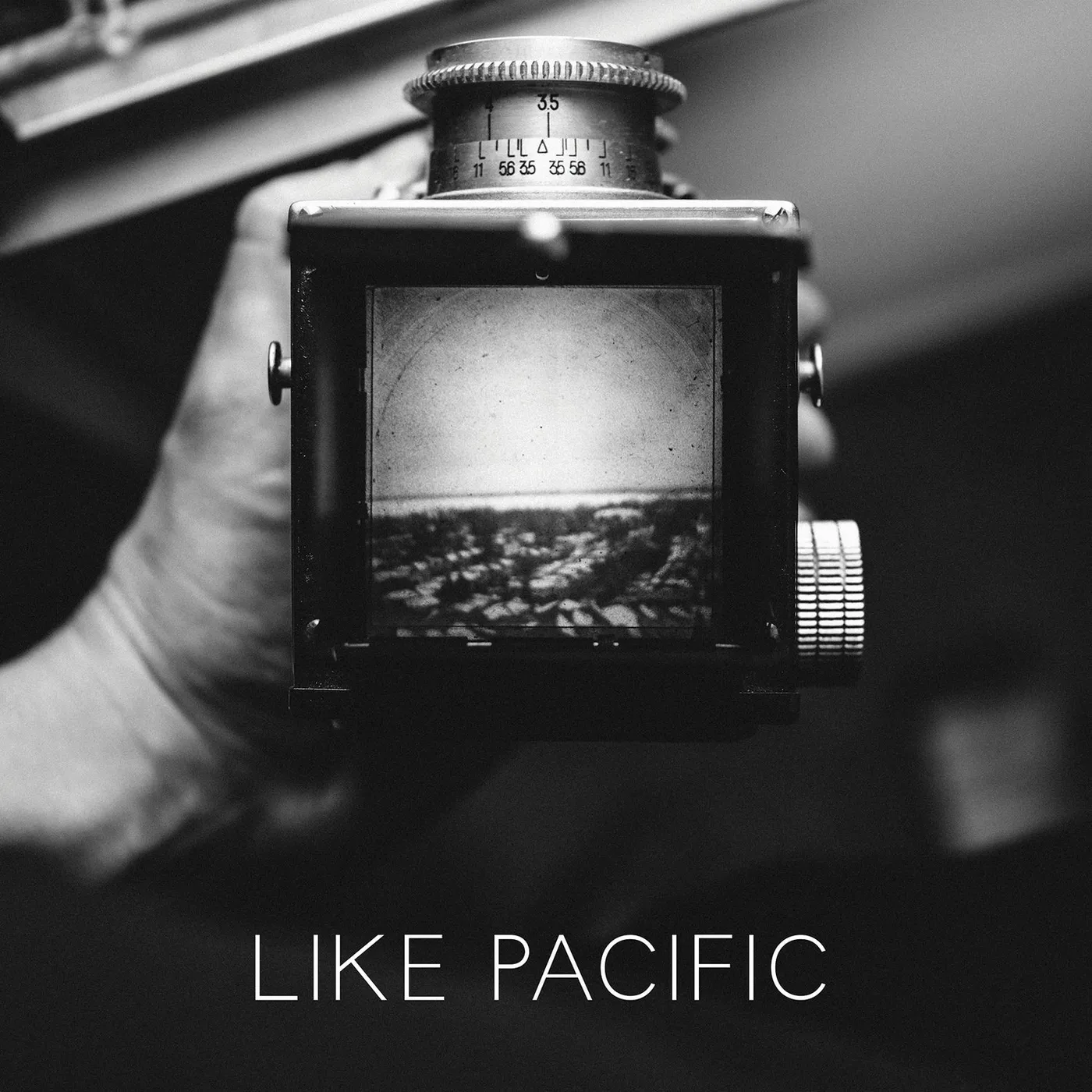 Like Pacific Vinyl Record