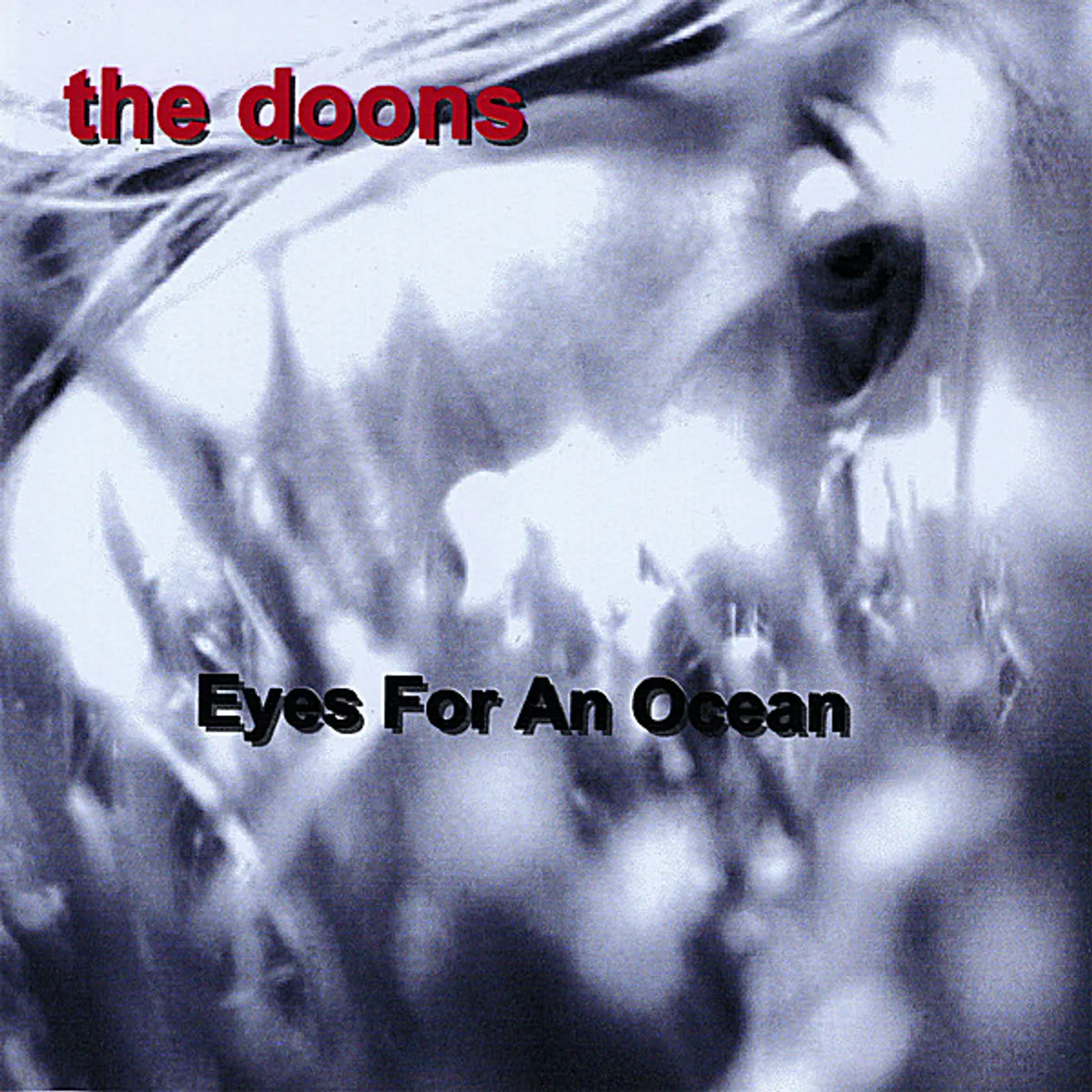 Doons EYES FOR AN OCEAN CD
