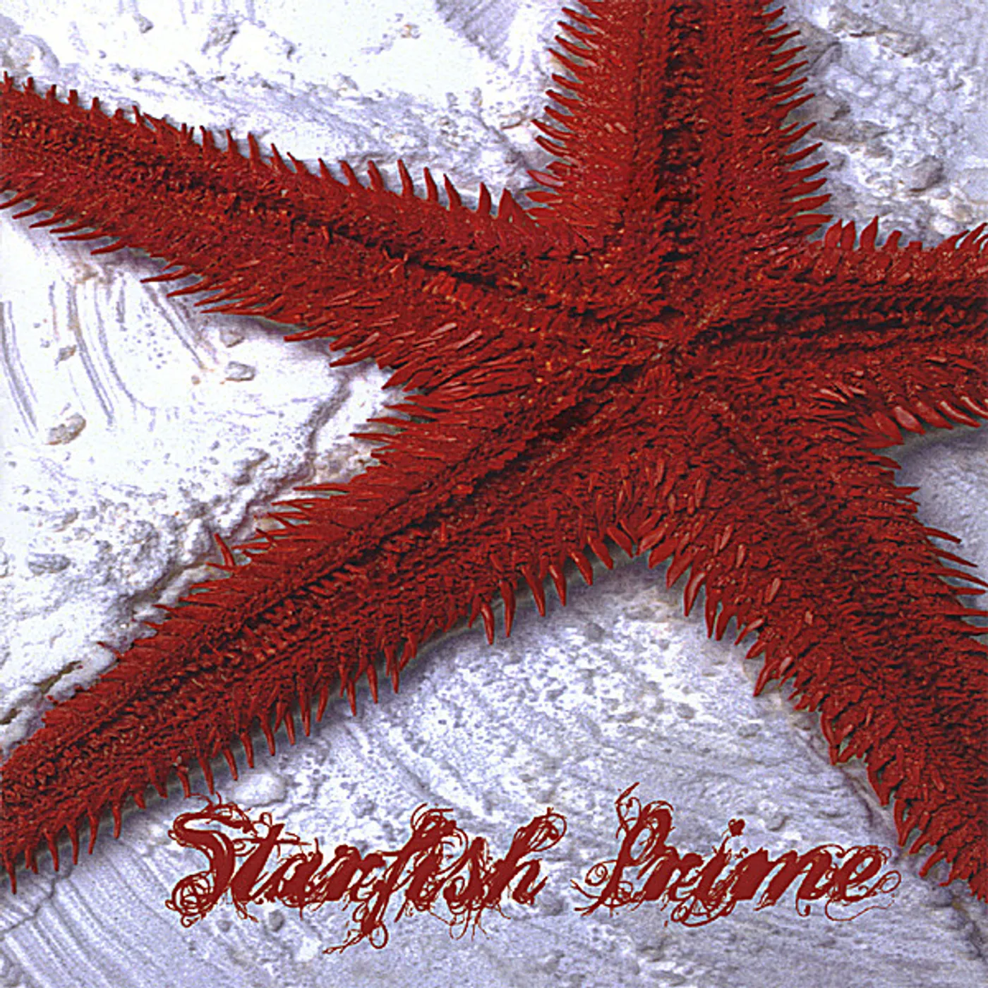 Starfish Prime AMBULACRAL GROOVE CD