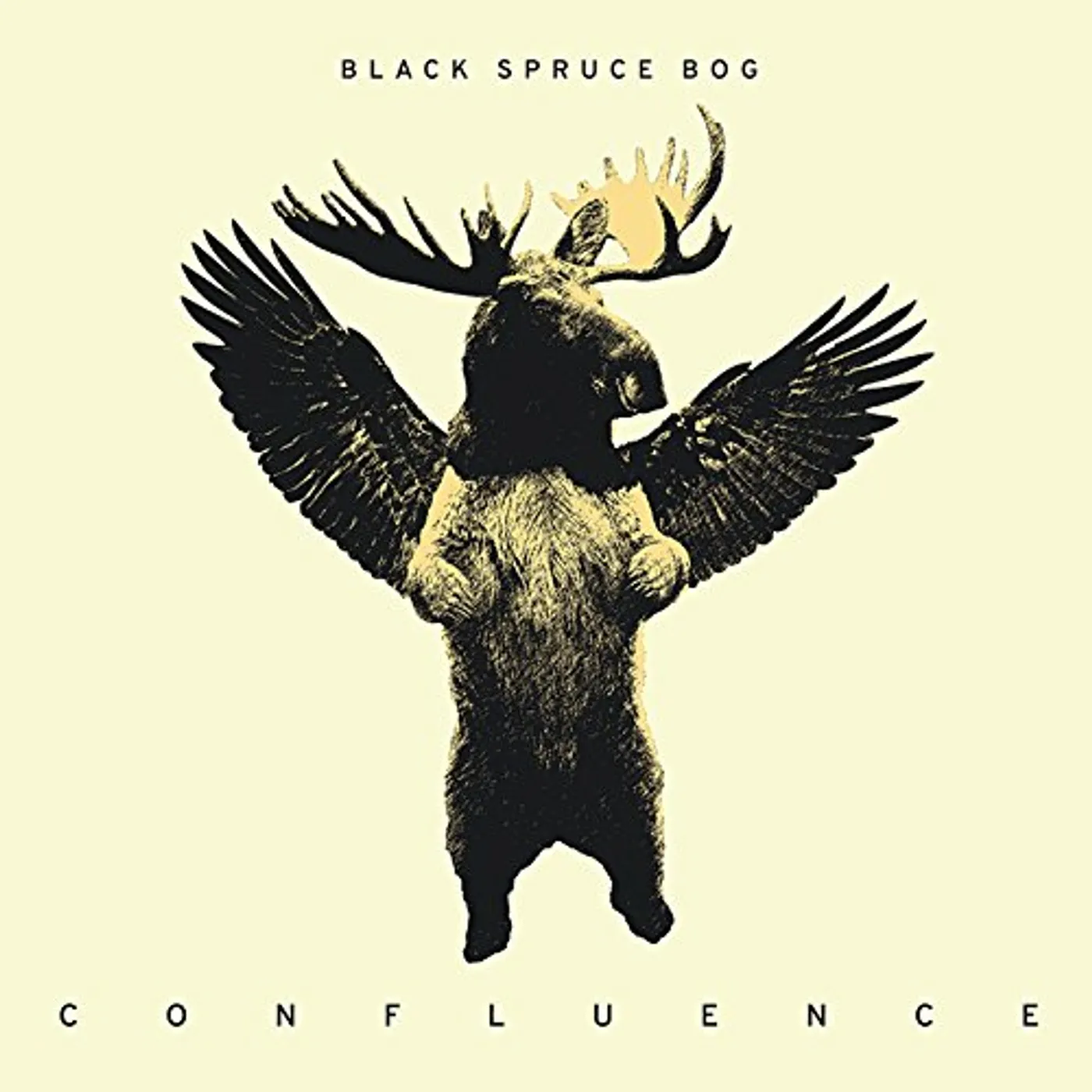 Black Spruce Bog CONFLUENCE CD
