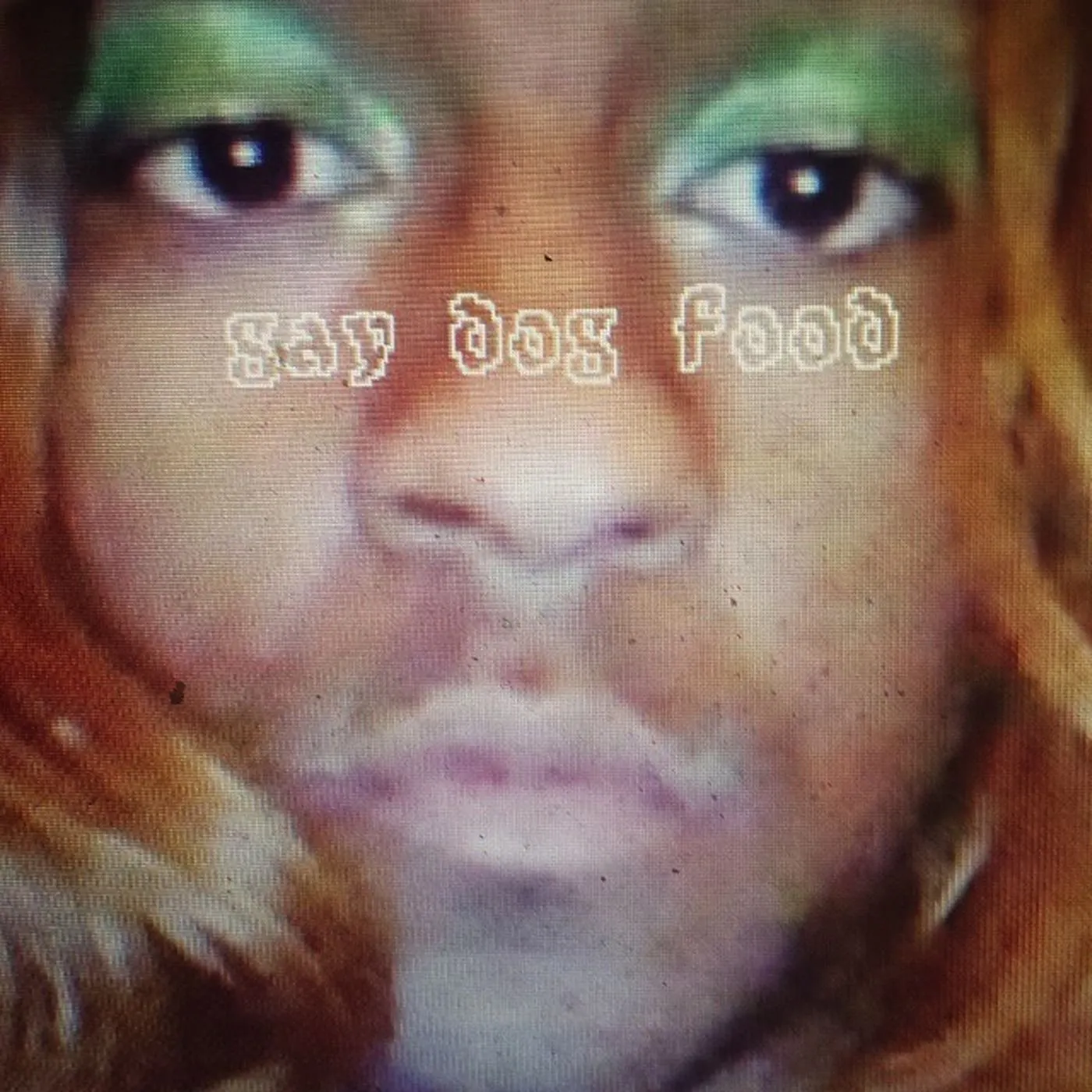 Mykki Blanco presents Gay Dog Food Vinyl Record