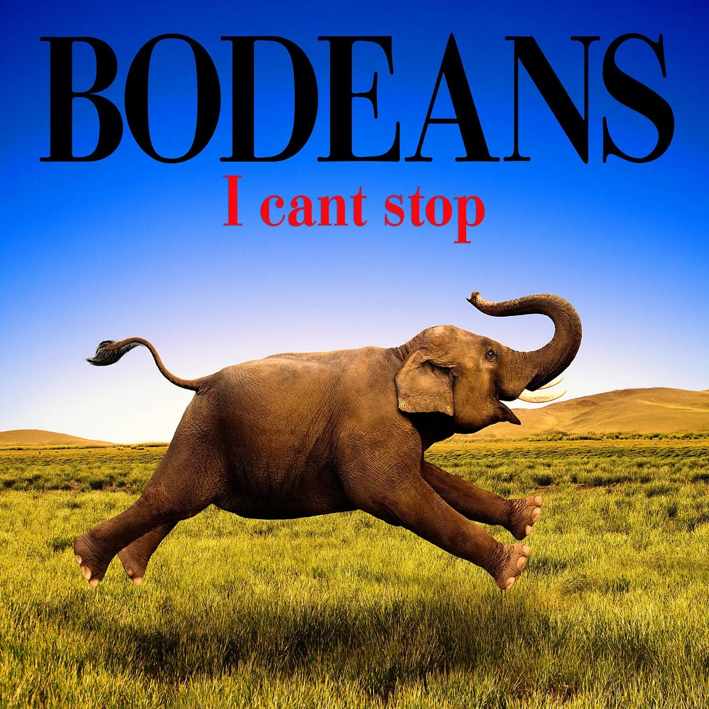 Bodeans I CAN'T STOP CD