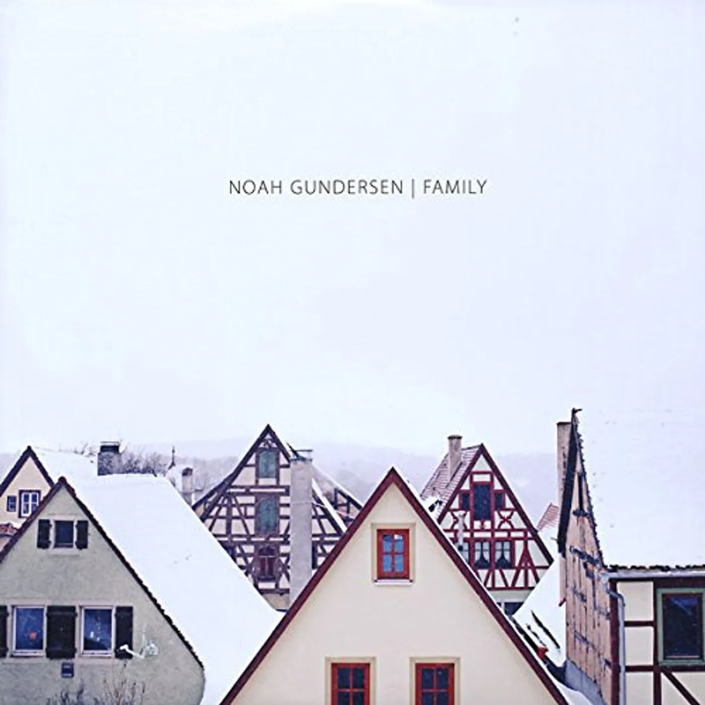 Noah Gundersen Family Vinyl Record