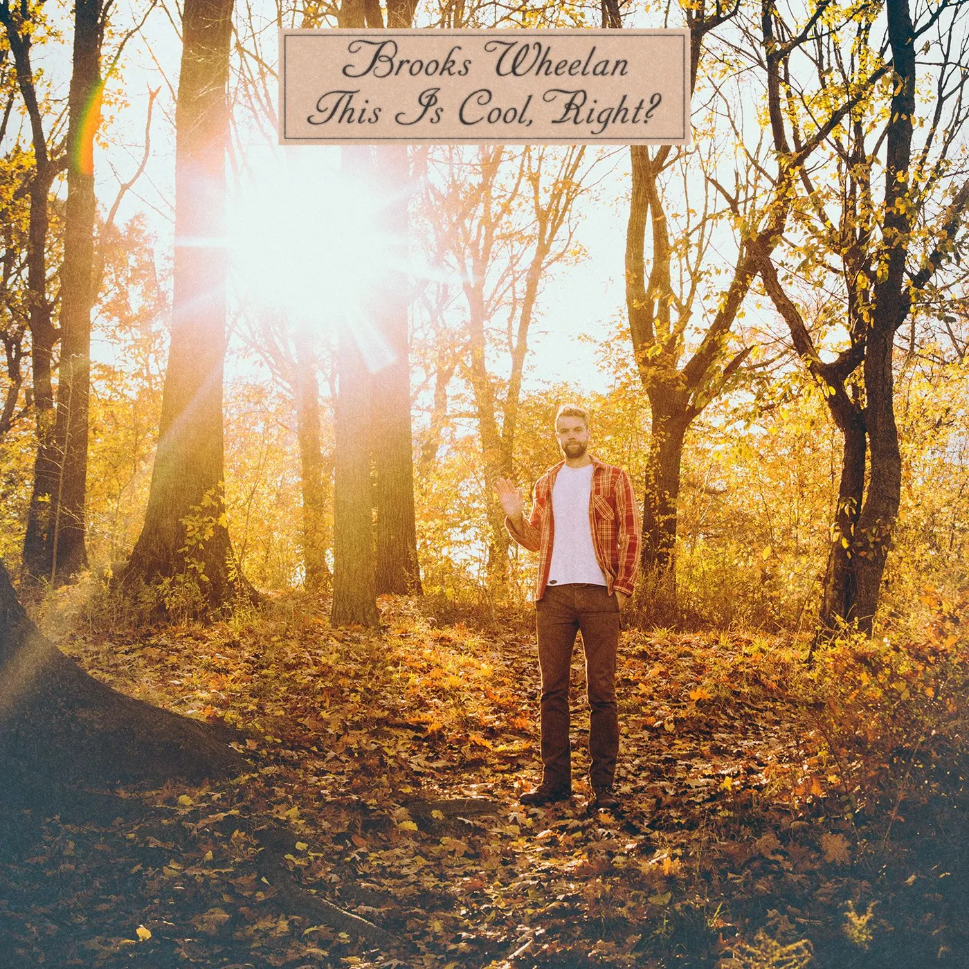 Brooks Wheelan THIS IS COOL RIGHT Vinyl Record