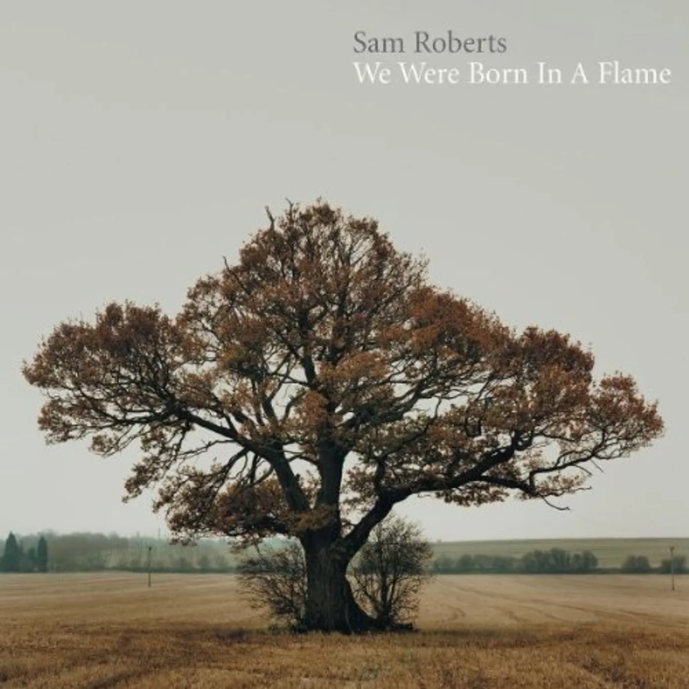 Sam Roberts Band We were born in a flame Vinyl Record