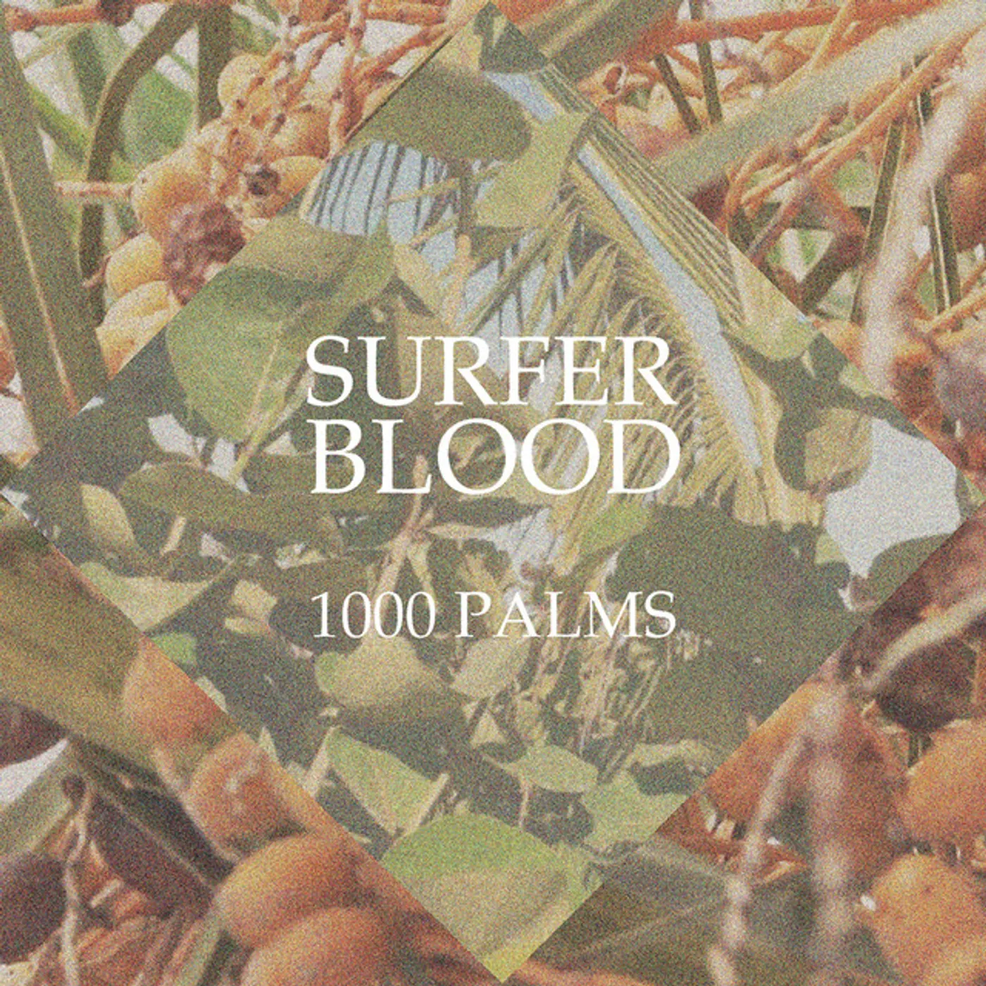 Surfer Blood 1000 Palms Vinyl Record