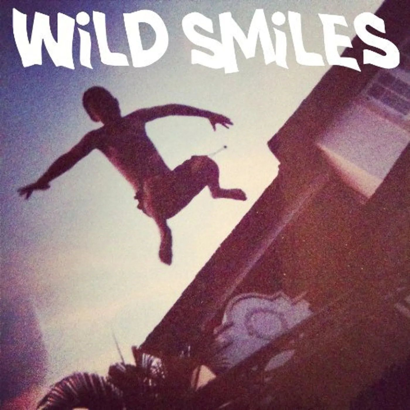 Wild Smiles TAKE ME AWAY Vinyl Record