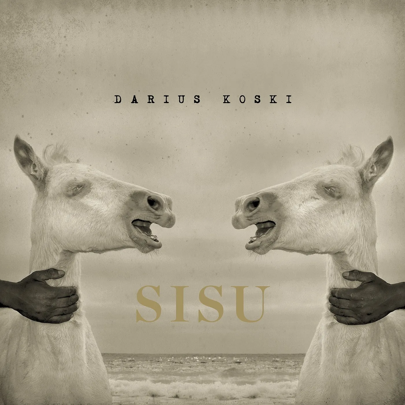 Darius Koski Sisu Vinyl Record