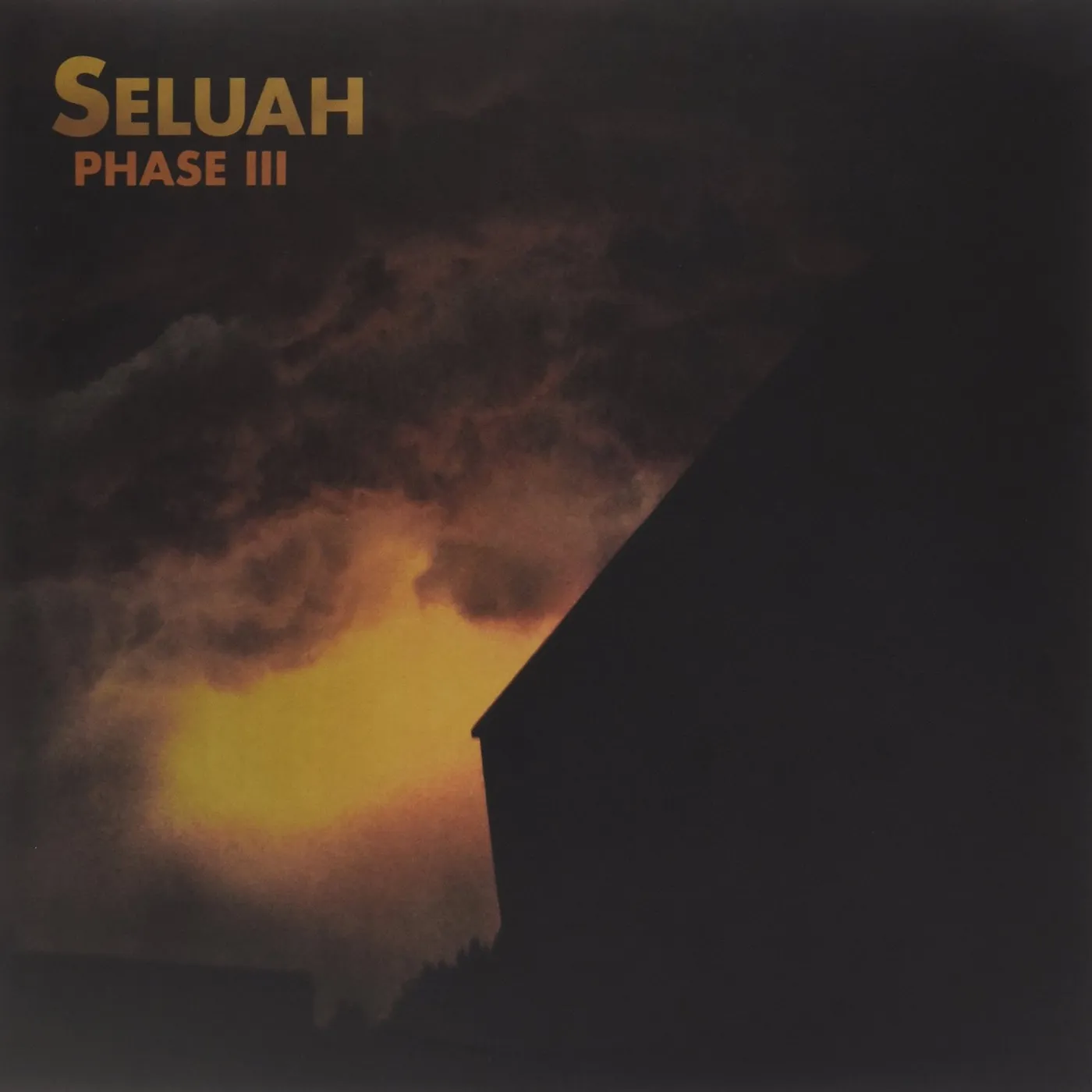 Seluah Phase III Vinyl Record