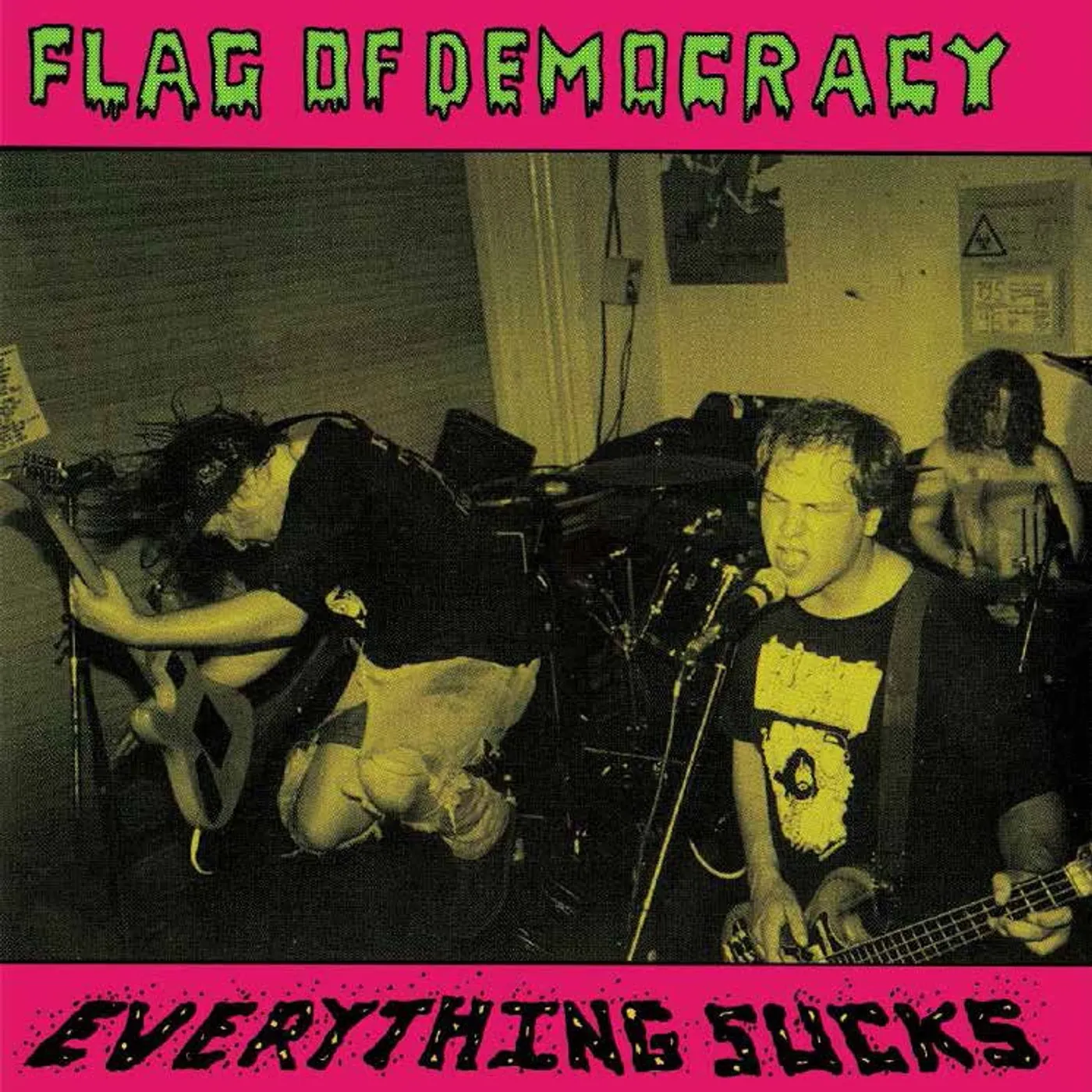Flag Of Democracy Everything Sucks Vinyl Record