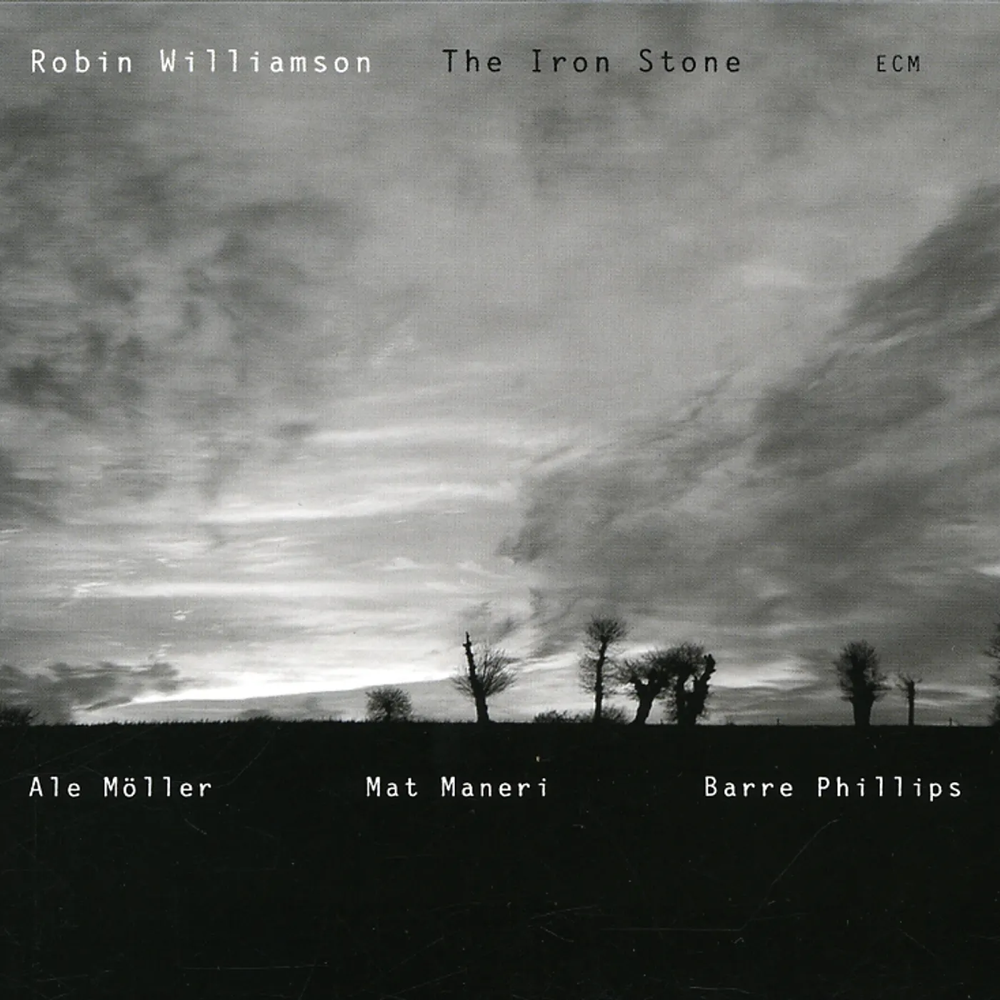 Robin Williamson IRON STONE CD