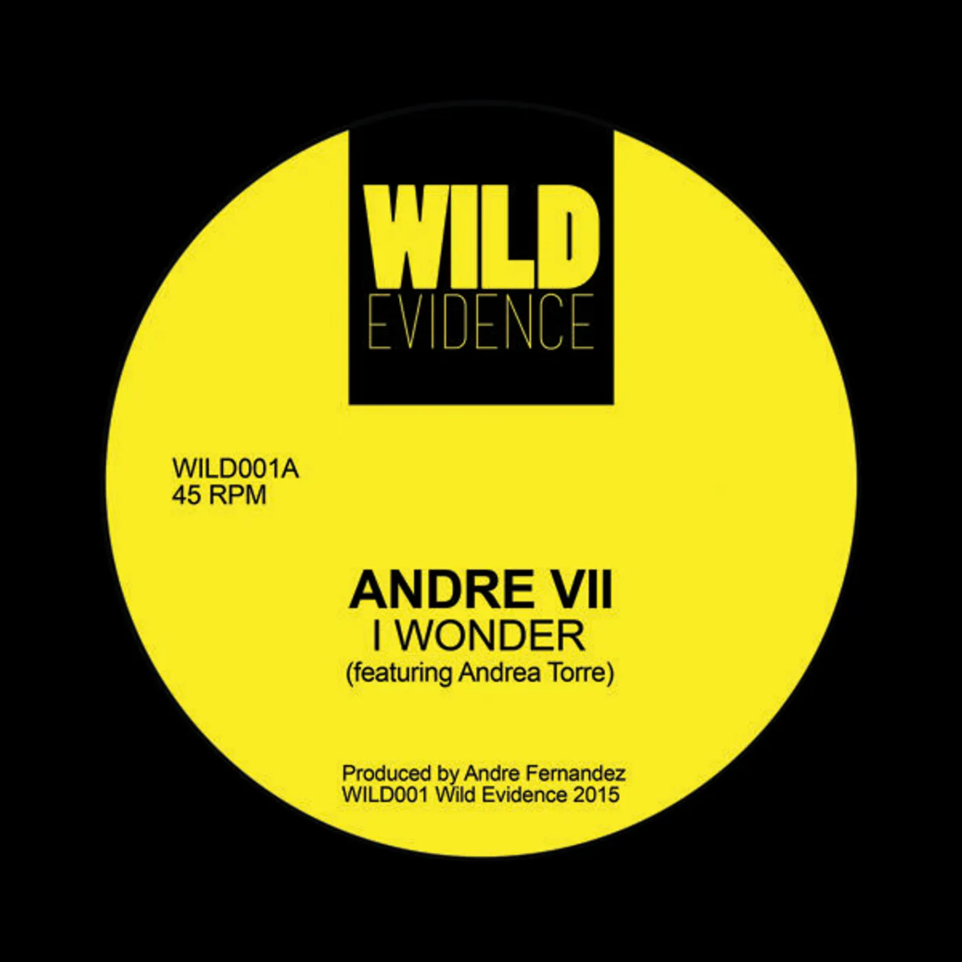 Andre VII I Wonder Vinyl Record