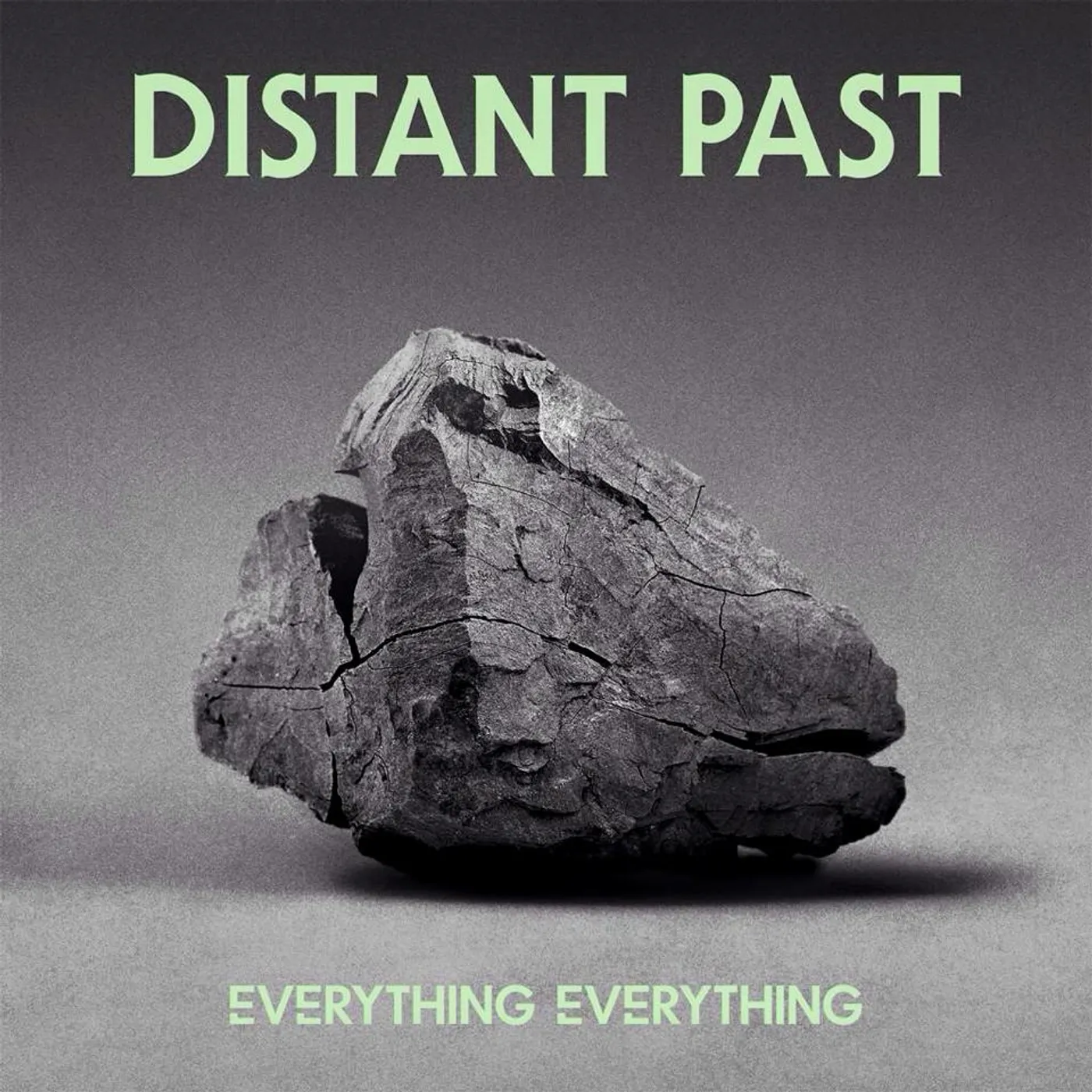 Everything Everything DISTANT PAST Vinyl Record - UK Release