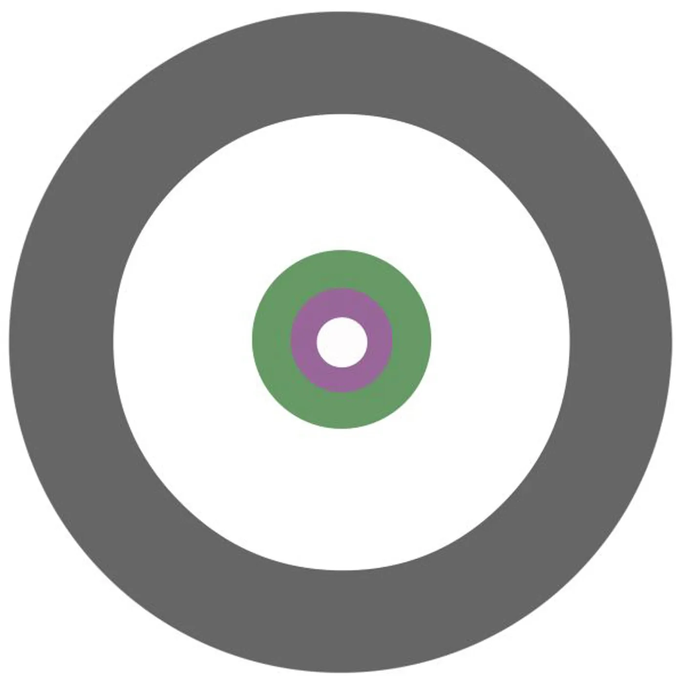 Dodi Palese CHEMTRAILS Vinyl Record