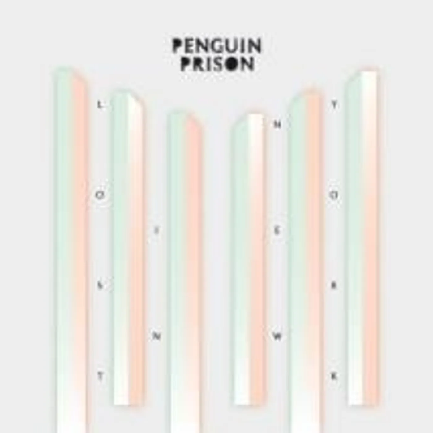 Penguin Prison Lost In New York Vinyl Record