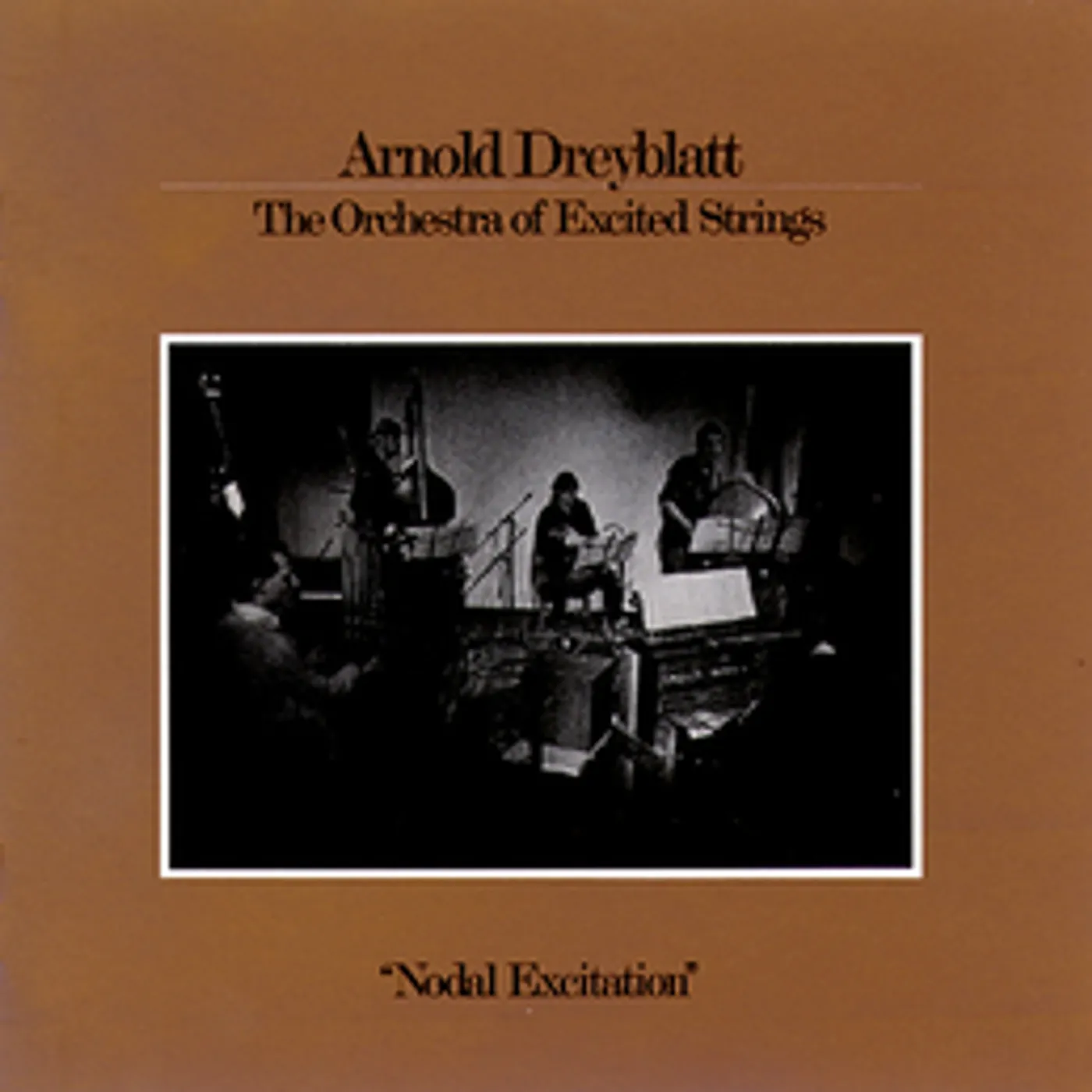 Arnold Dreyblatt NODAL EXCITATION Vinyl Record