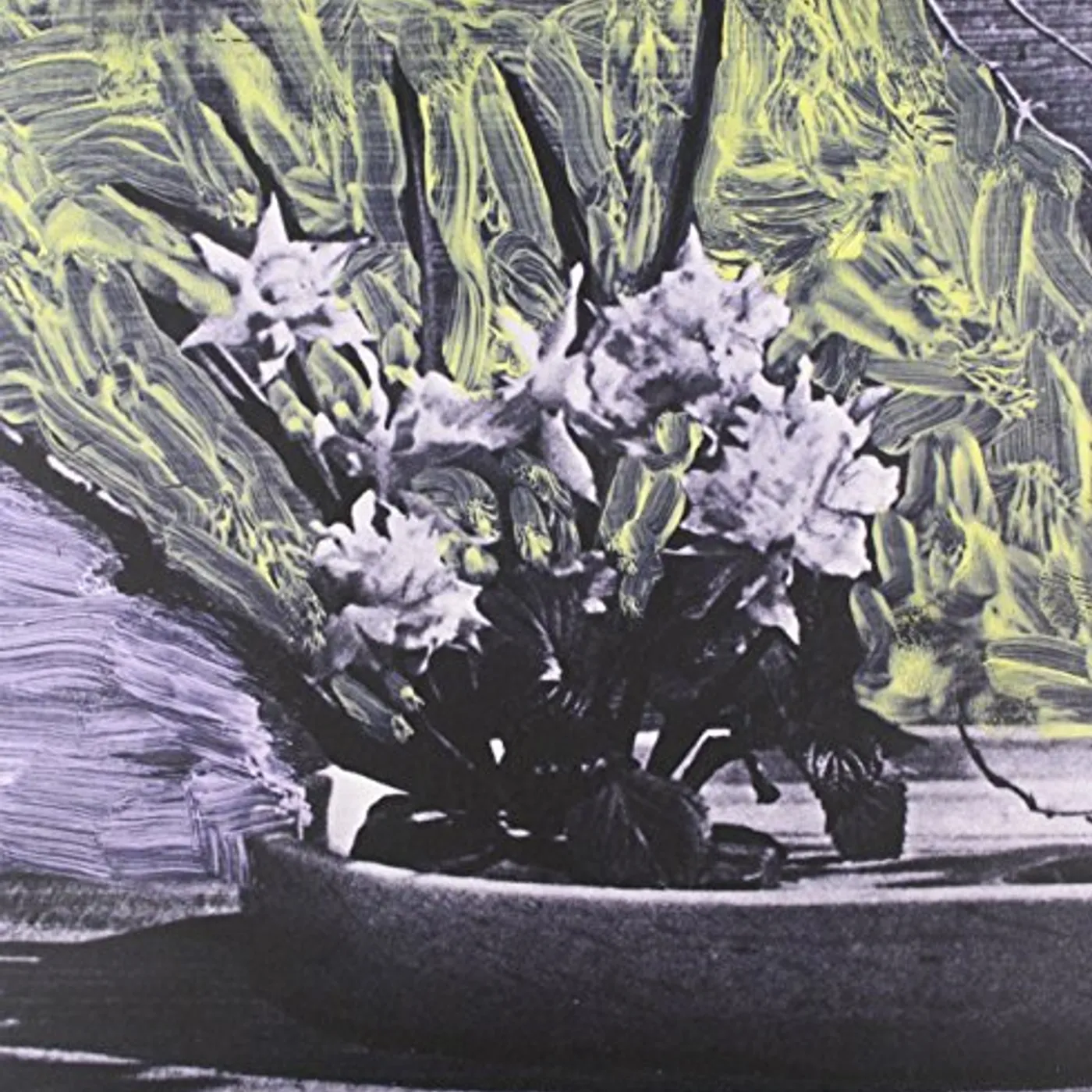 White Walls Vinyl Record