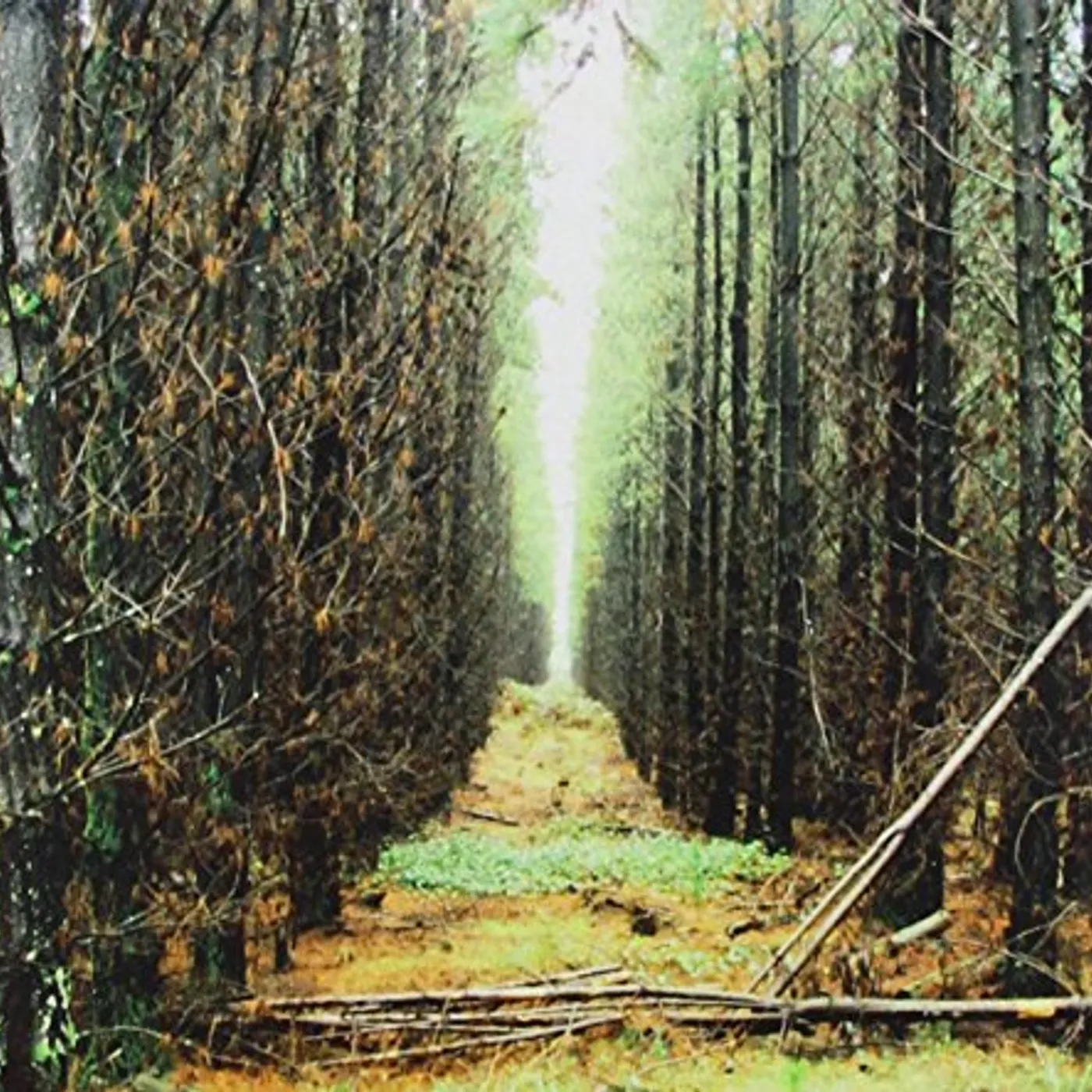 Apart From This IN GLOOM CD