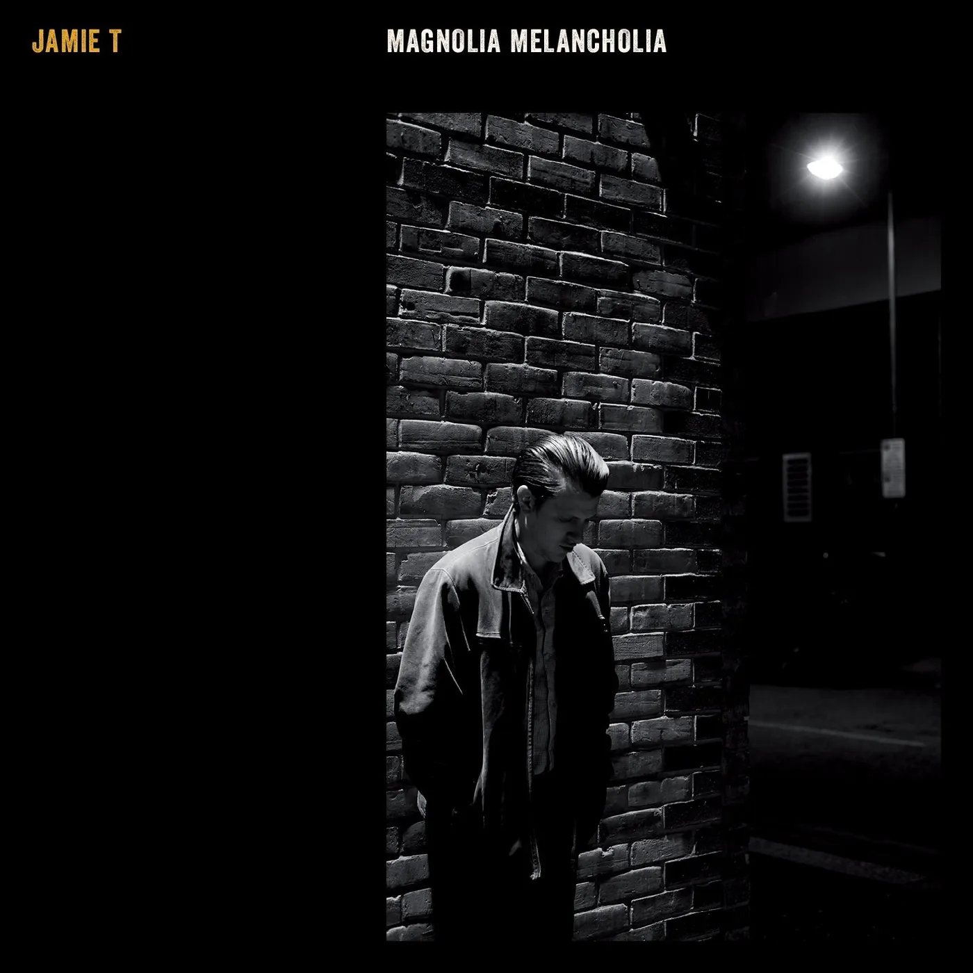 Jamie T MAGNOLIA MELANCHOLIA Vinyl Record - UK Release