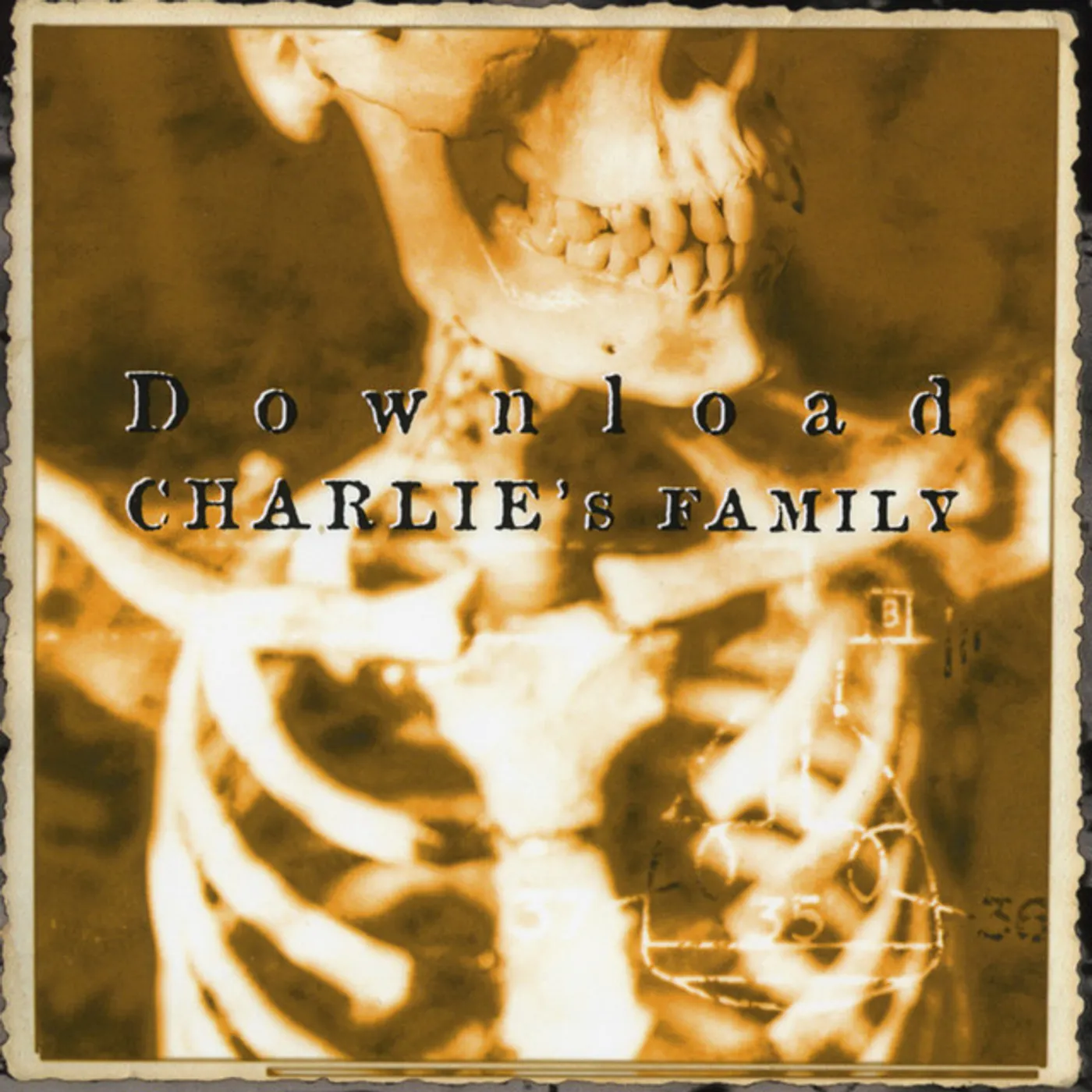 Download Charlie's Family Vinyl Record