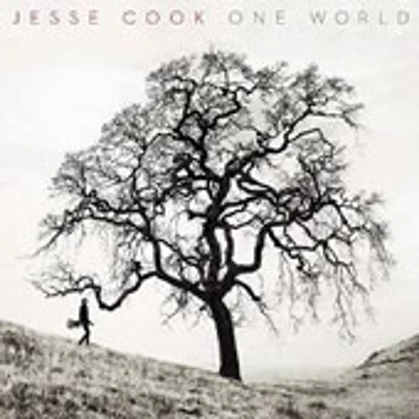 Jesse Cook ONE WORLD CD