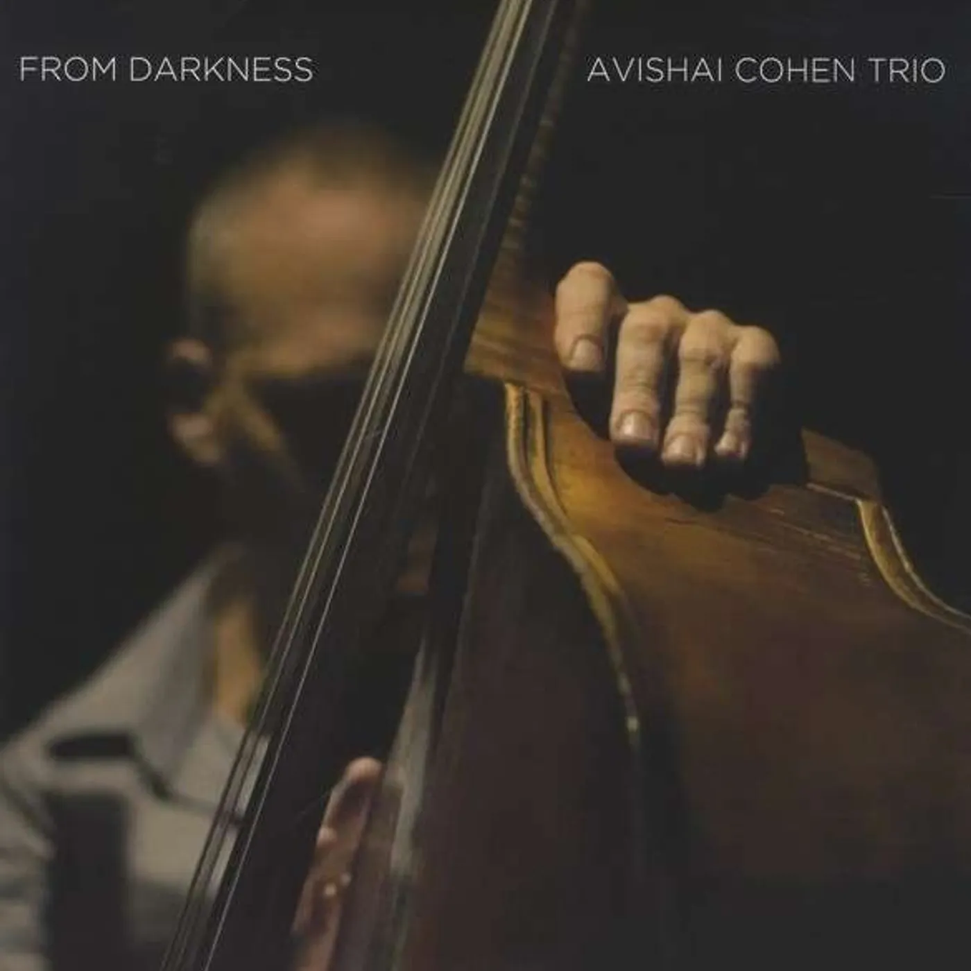 Avishai Cohen From Darkness Vinyl Record