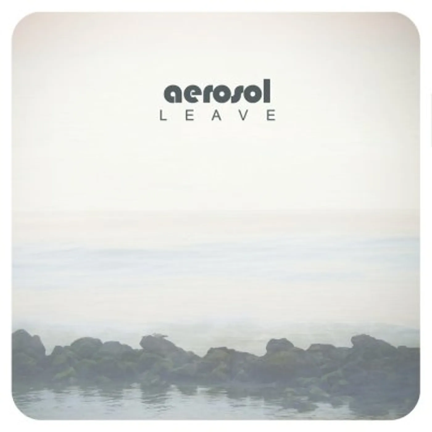 Aerosol LEAVE CD