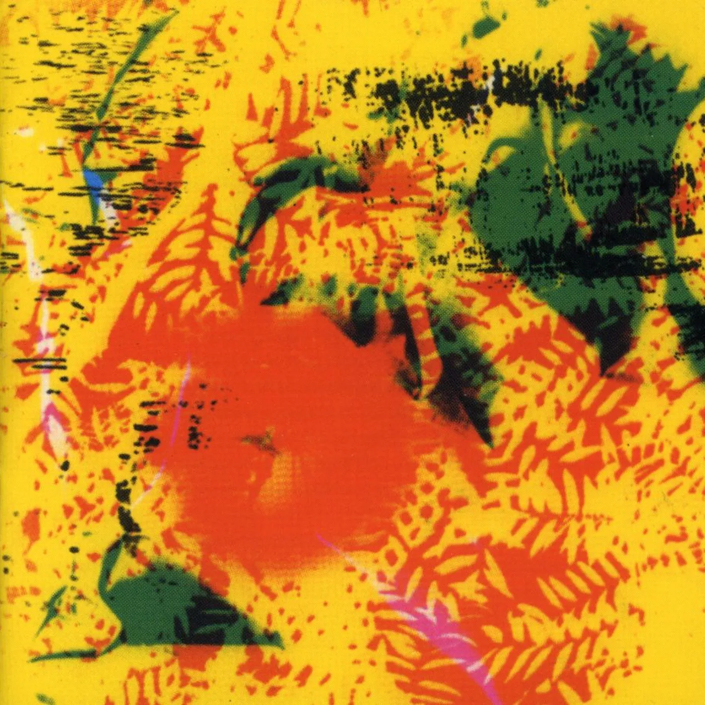 Phill Niblock YPGPN CD