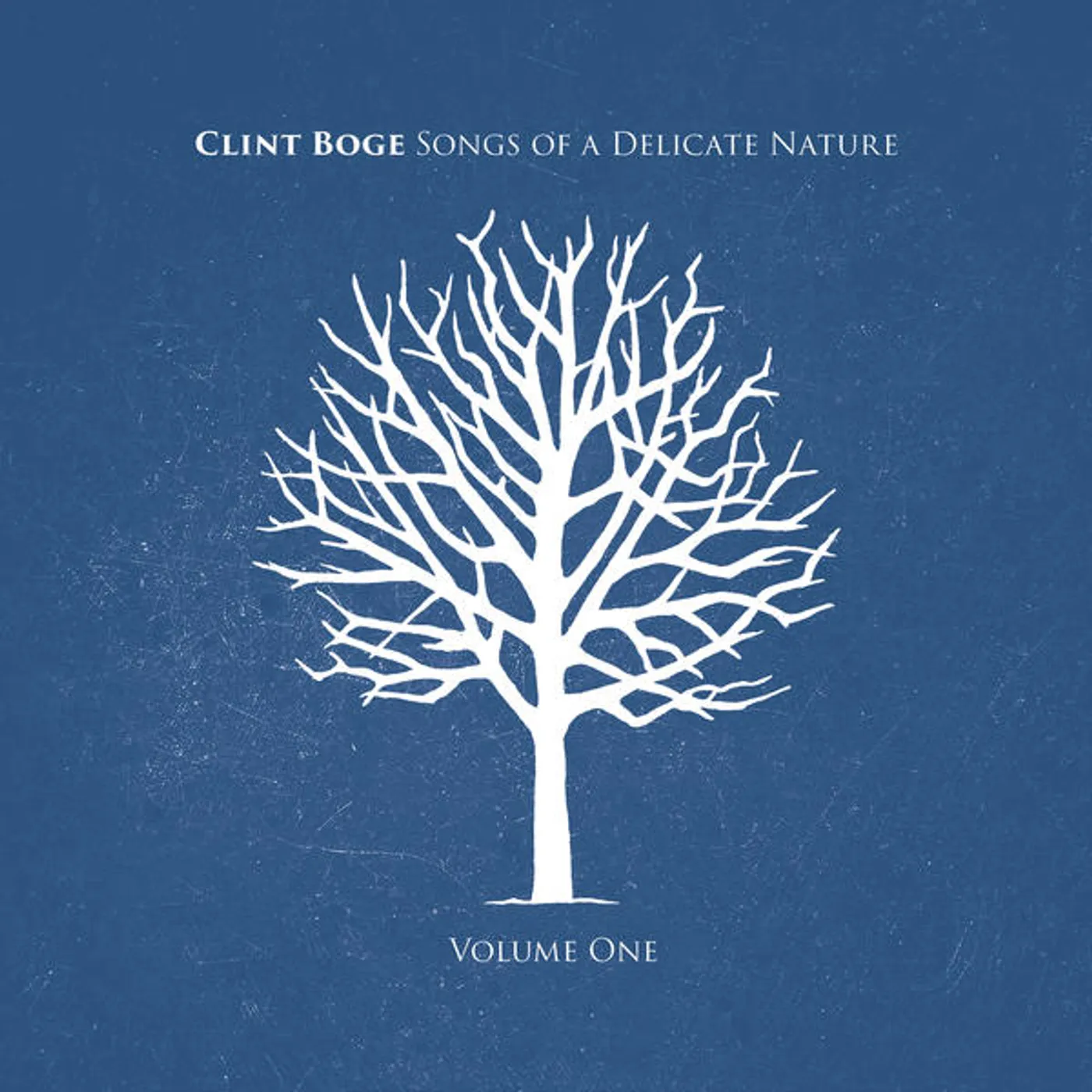 Clint Boge SONGS OF A DELICATE NATURE VOLUME 1 CD
