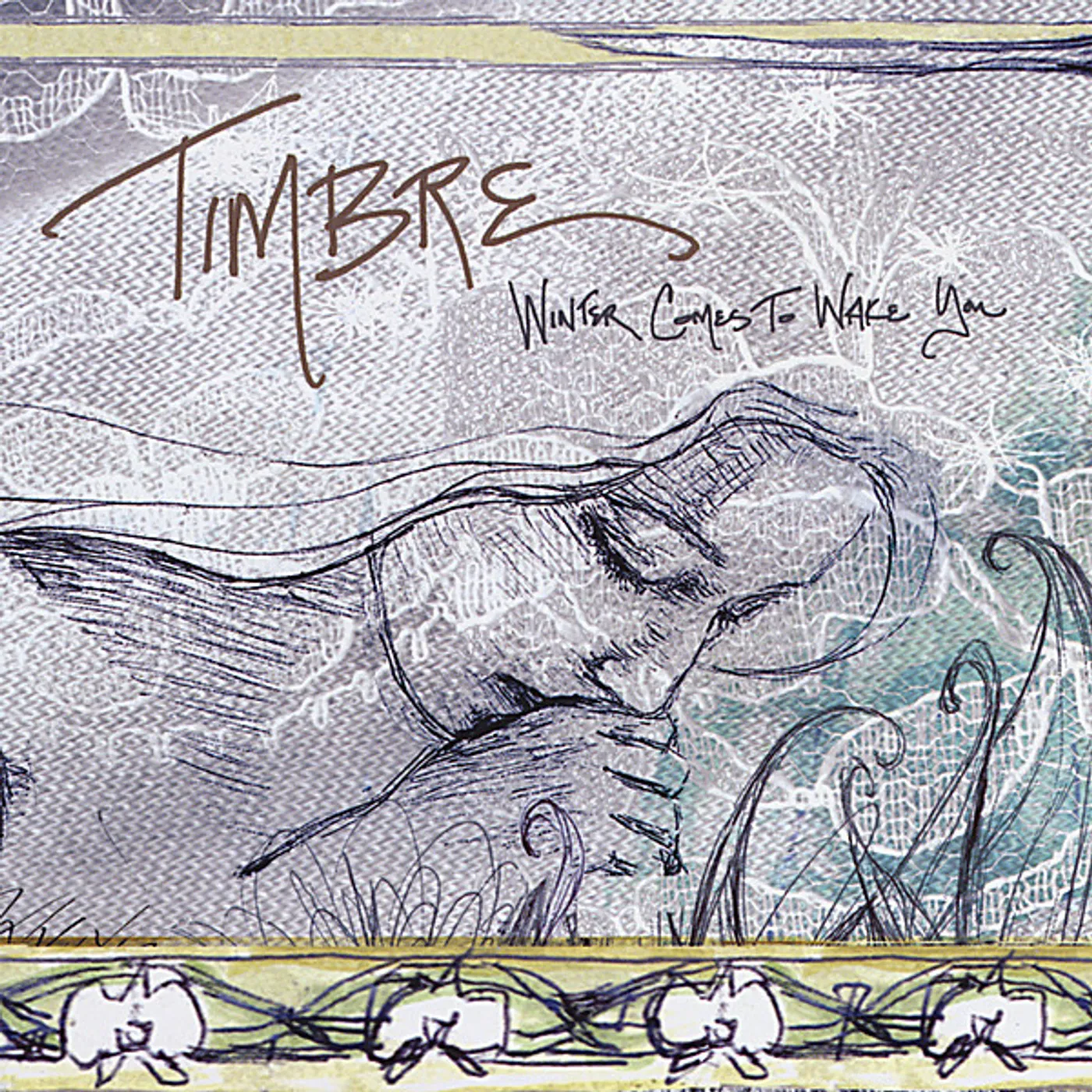 Timbre WINTER COMES TO WAKE YOU CD