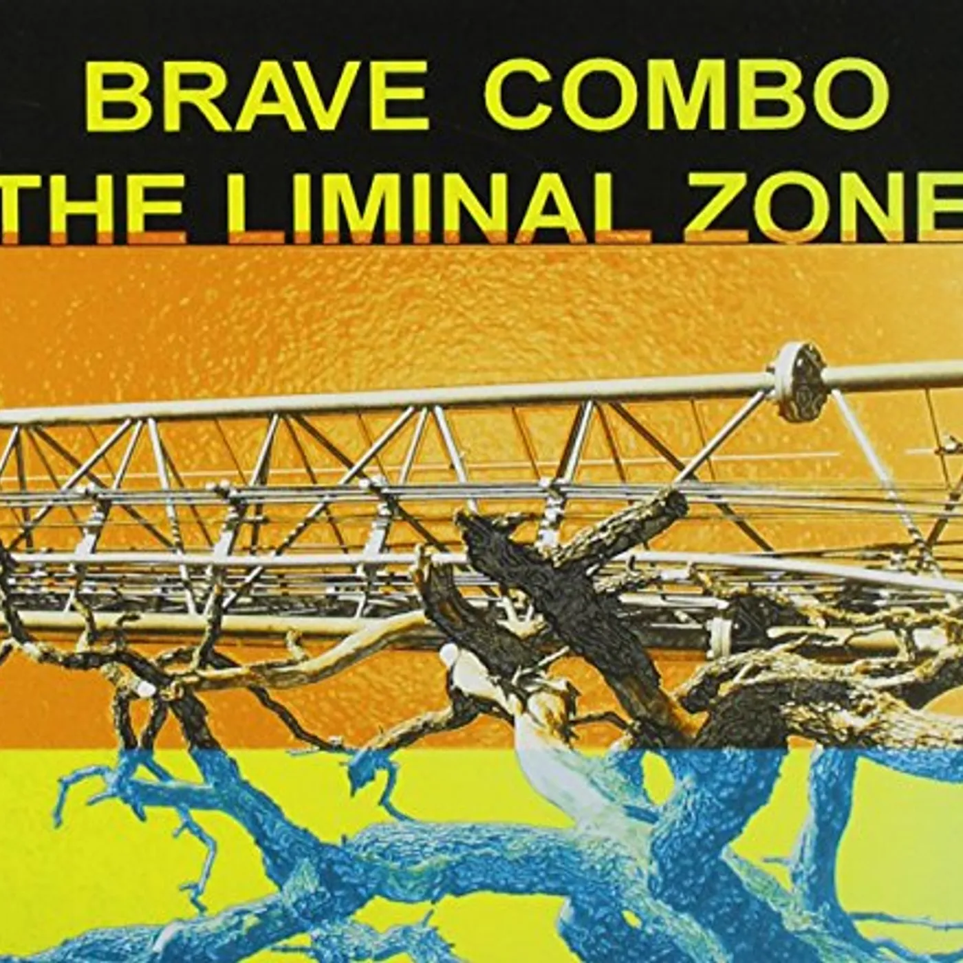 Brave Combo LIMINAL ZONE CD