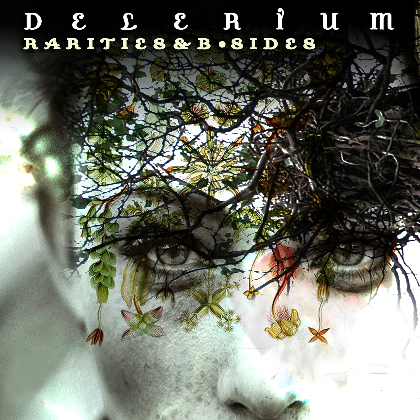 Delerium RARITIES & B-SIDES CD