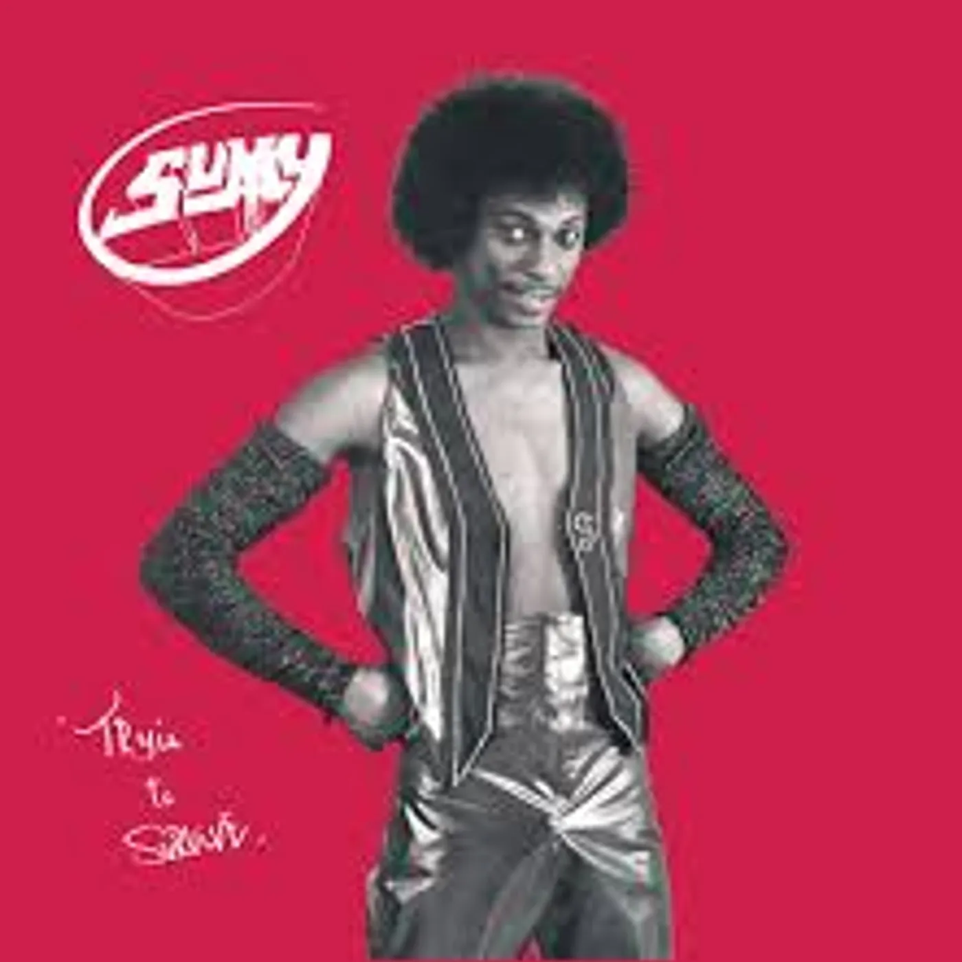 Sumy Tryin To Survive Vinyl Record