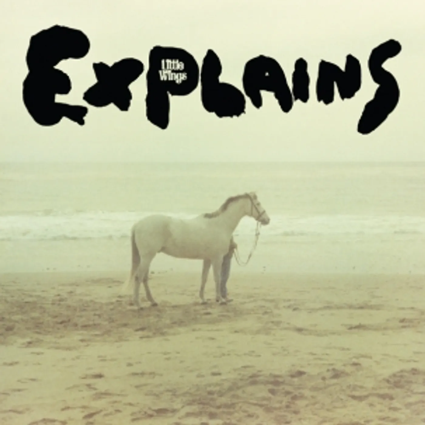 Little Wings Explains Vinyl Record