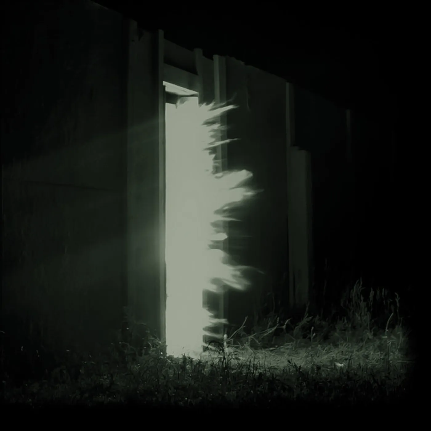 Fink Horizontalism Vinyl Record