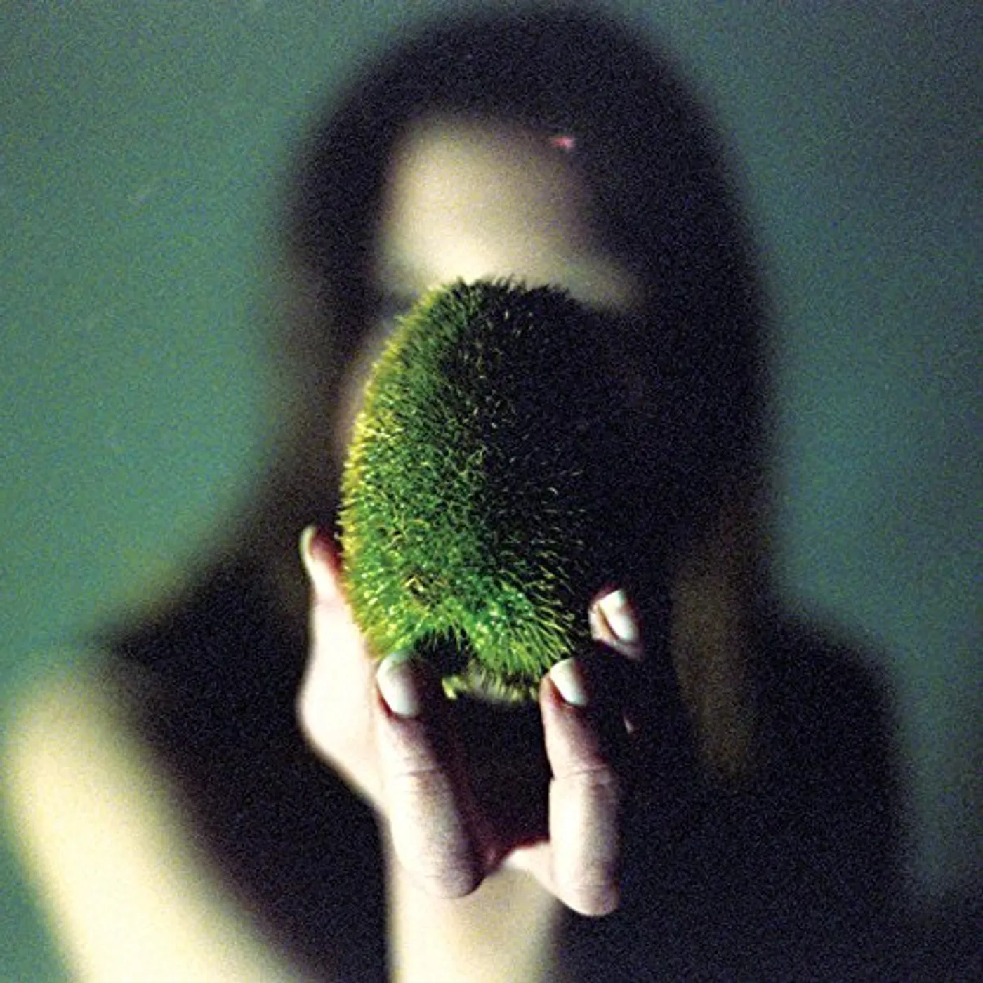 Circuit des Yeux In Plain Speech Vinyl Record