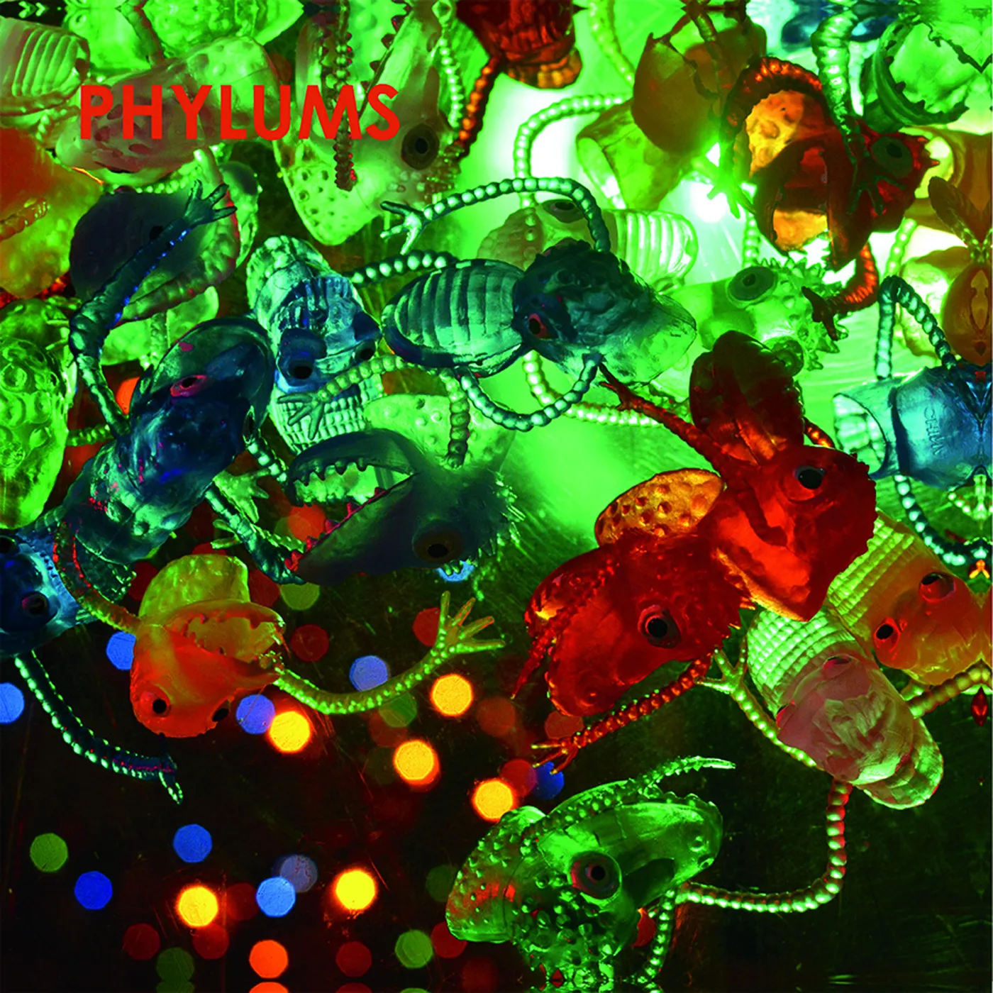 Phylums Phylum Phyloid Vinyl Record