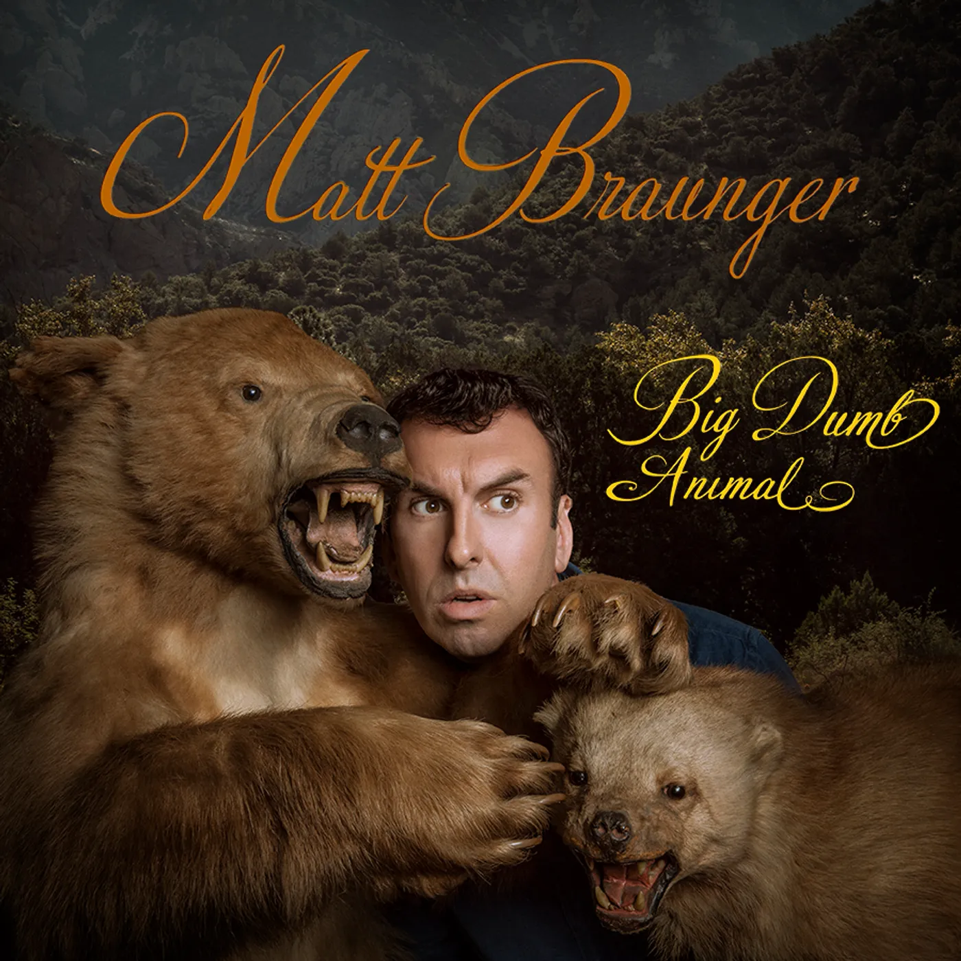 Matt Braunger Big Dumb Animal Vinyl Record