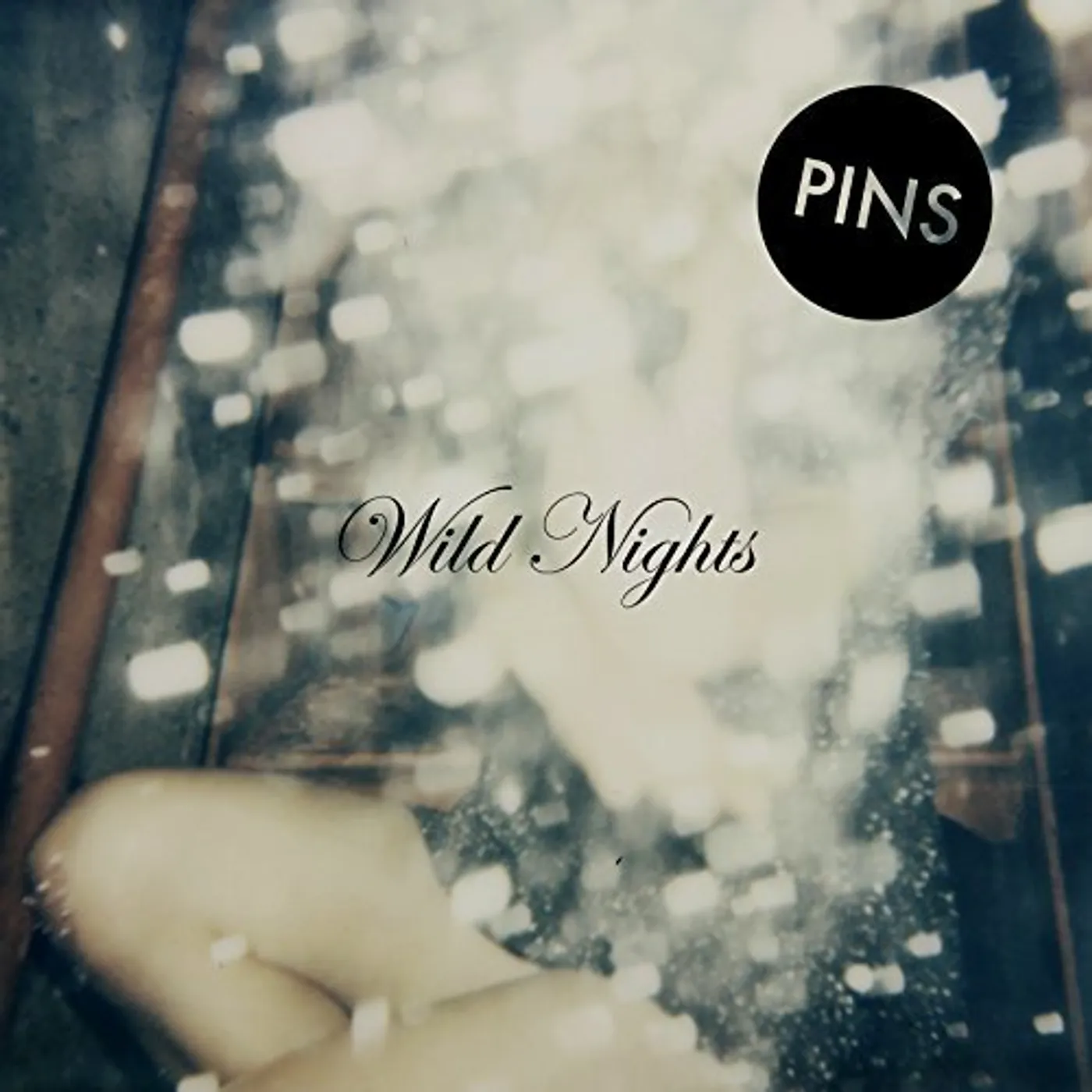 PINS Wild Nights Vinyl Record