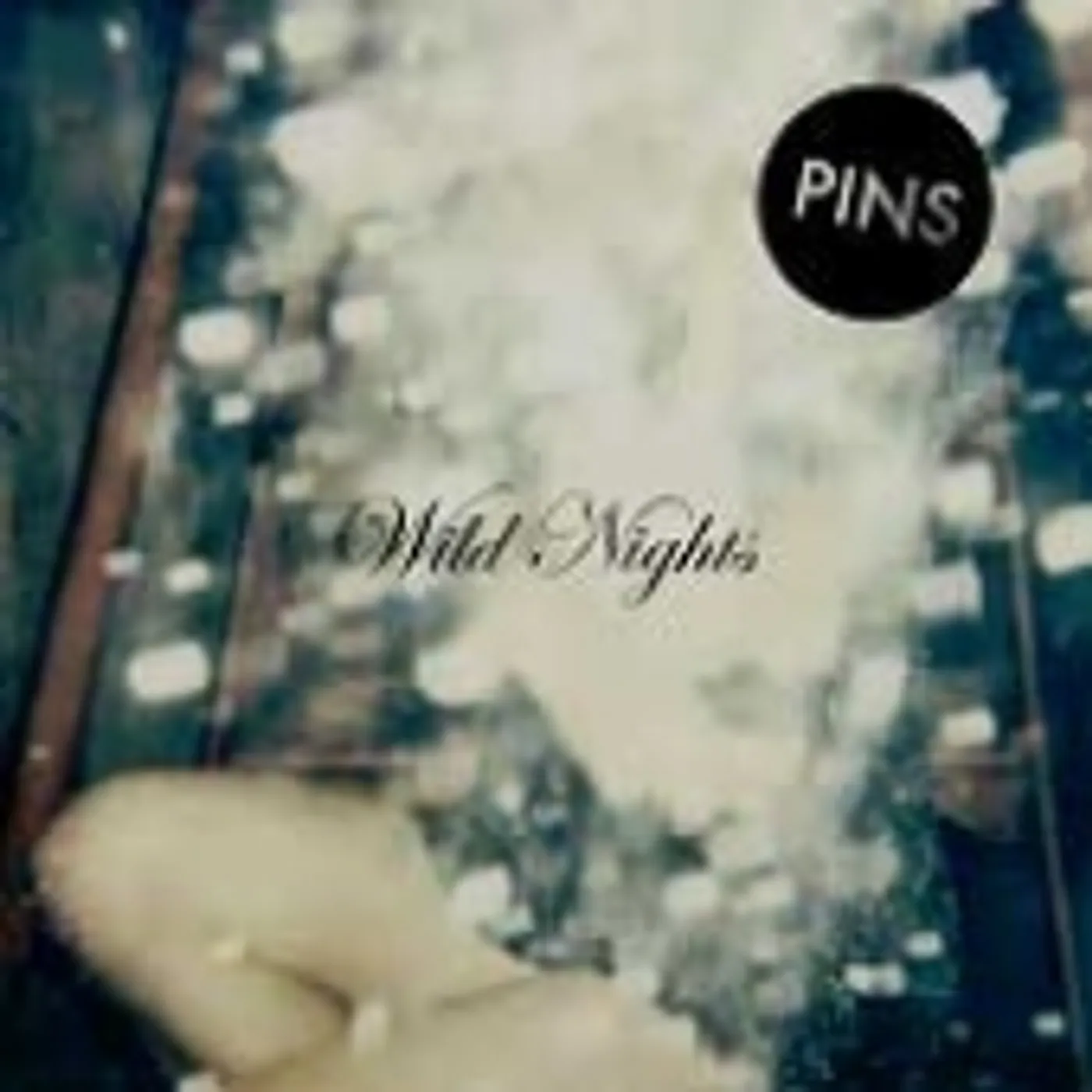 PINS WILD NIGHTS CD