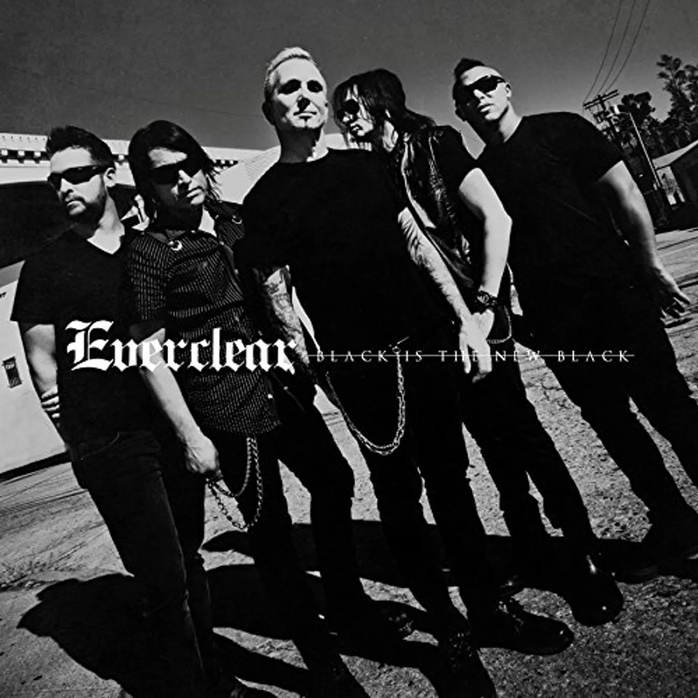 Everclear BLACK IS THE NEW BLACK Vinyl Record