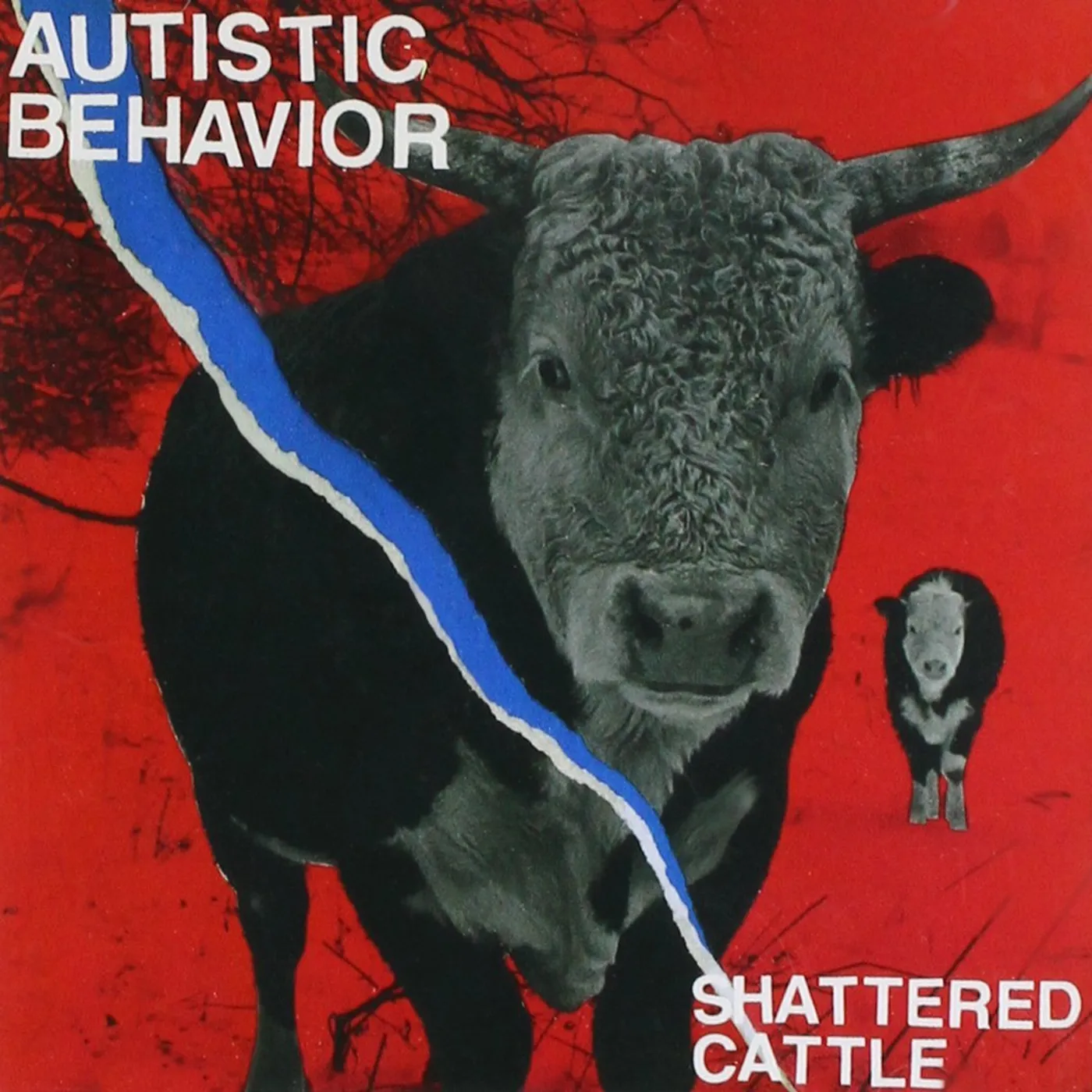 Autistic Behavior SHATTERED CATTLE CD